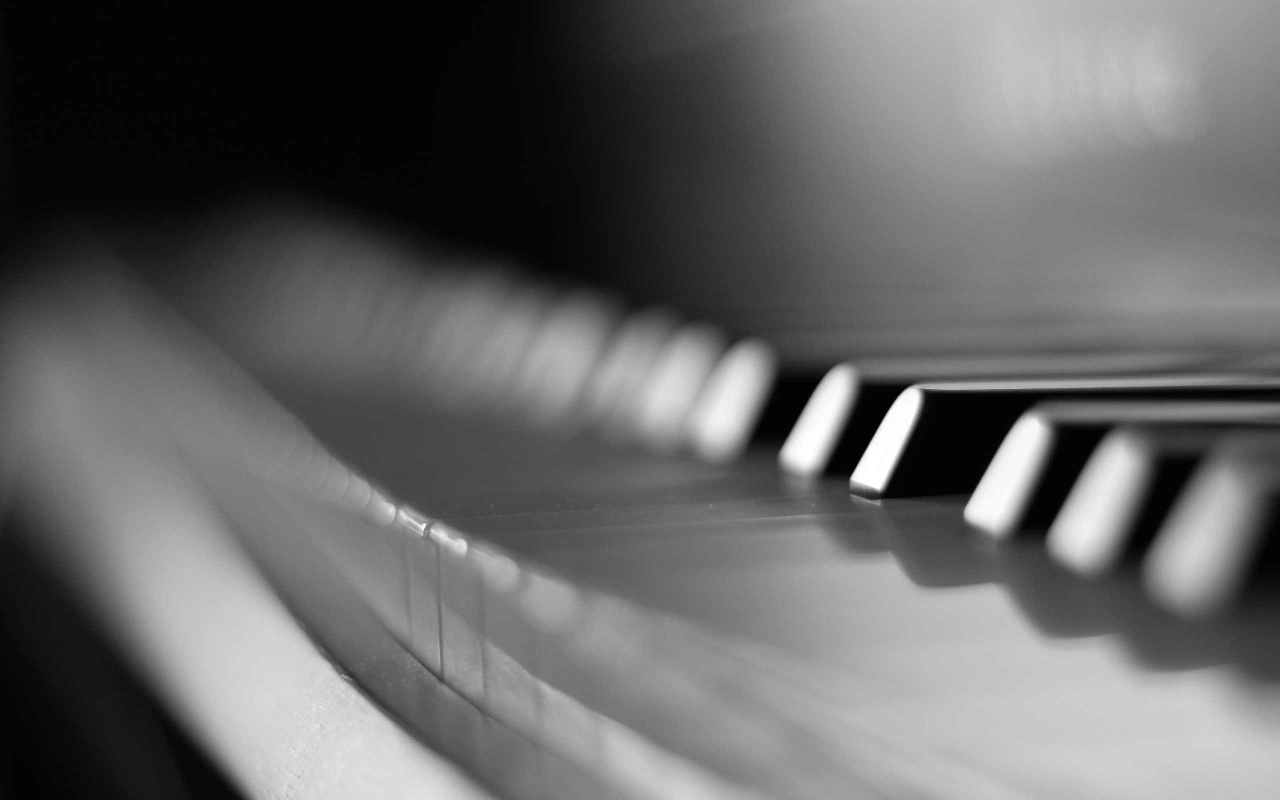 Tasti del pianoforte, Bianco e nero, Sfocato, 2K, sfondo per portatile