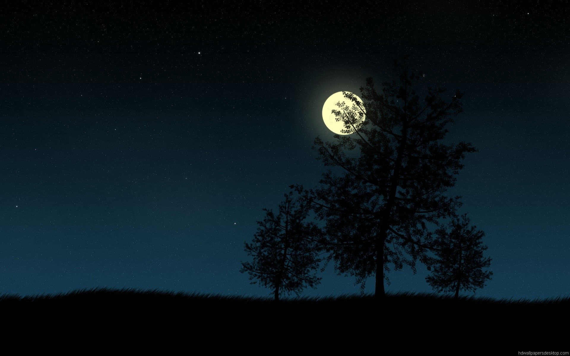 Luna piena, Albero, Cielo notturno, Silhouette, 1920x1200, immagine di sfondo