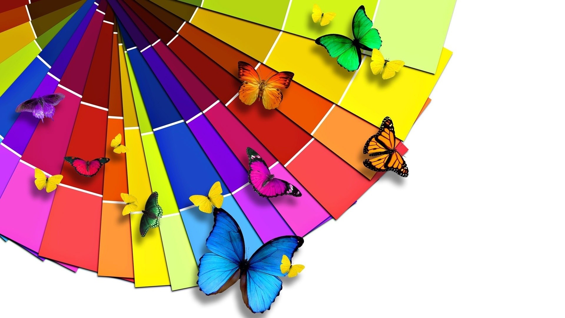 Farfalle, Mazzetta colori, Arcobaleno, Colori vivaci, Full HD 1080p, sfondo desktop