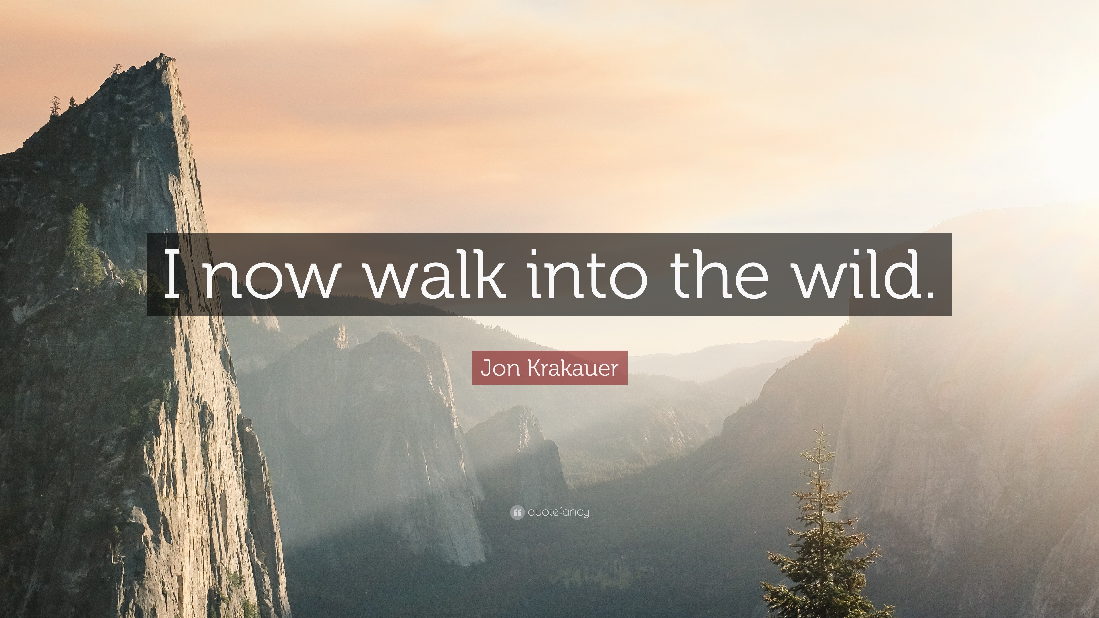 Jon Krakauer, Into the Wild - Nelle terre selvagge, Citazione, Canyon, sfondo desktop 2160p