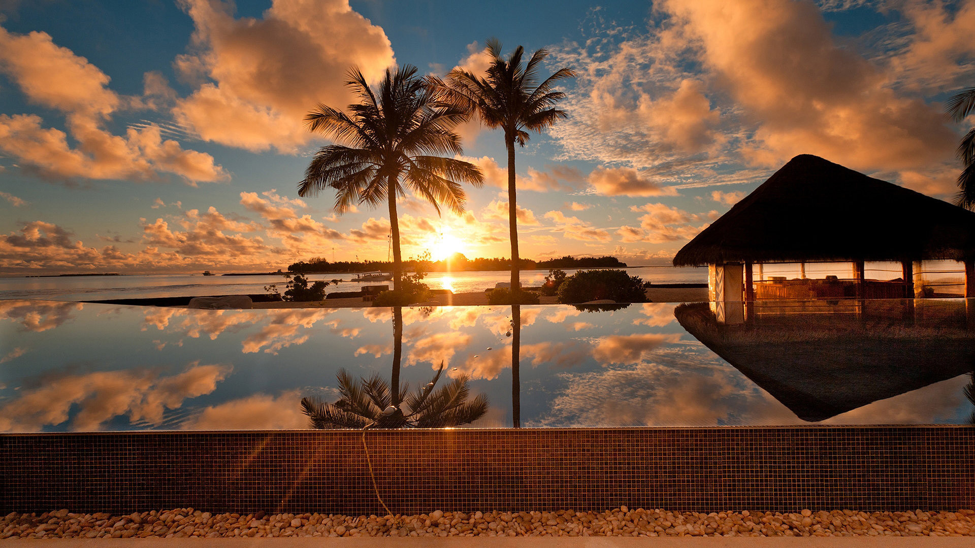 Palme, Tramonto, Riflesso, Tropicale, Full HD, sfondo per PC