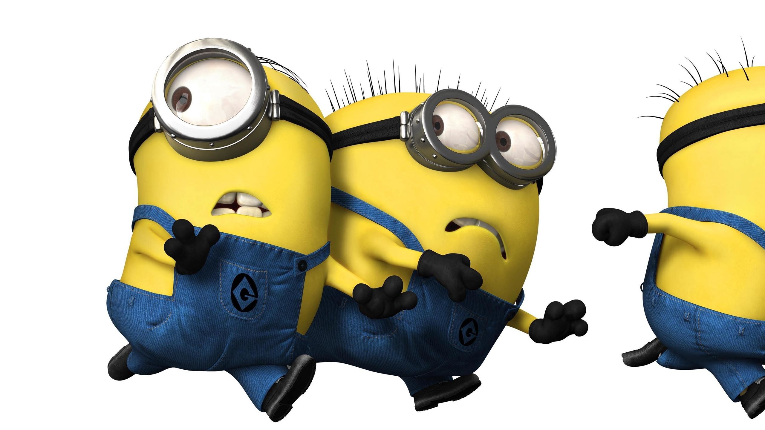 Minions, Corsa, Sfondo bianco, 2560x1440, wallpaper desktop