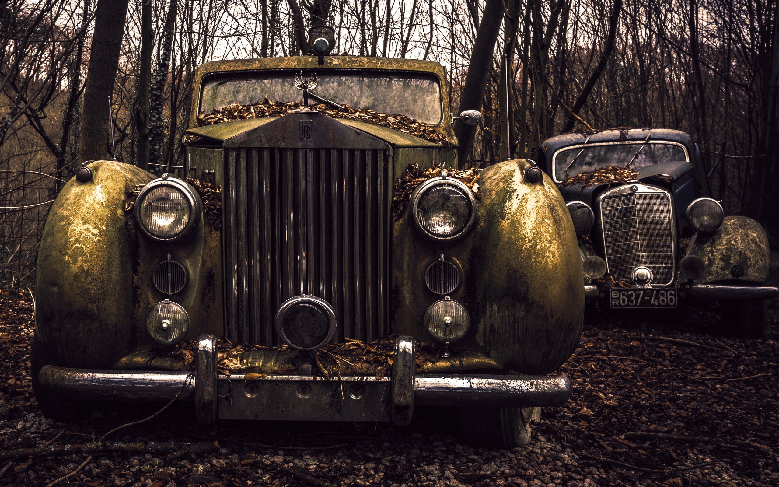 Rolls-Royce Silver Cloud, Auto abbandonata, Bosco, Ruggine, 2K, sfondo per PC
