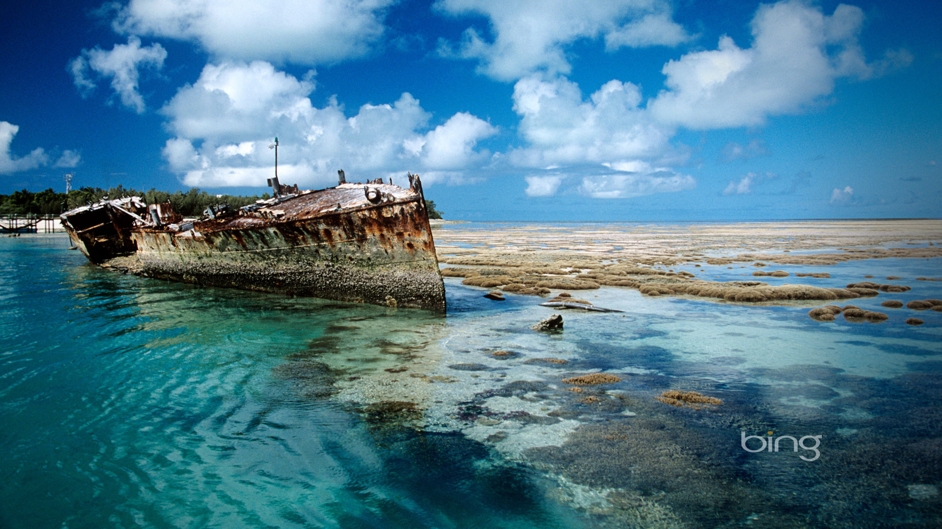 Relitto, Nave arrugginita, Mare, Barriera corallina, Full HD, wallpaper per desktop