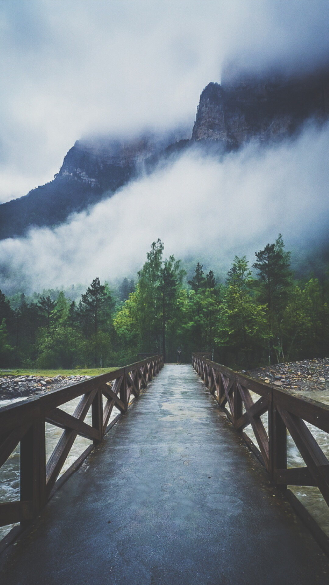 Ponte, Montagne, Nebbia, Foresta, schermata Home iPhone 6