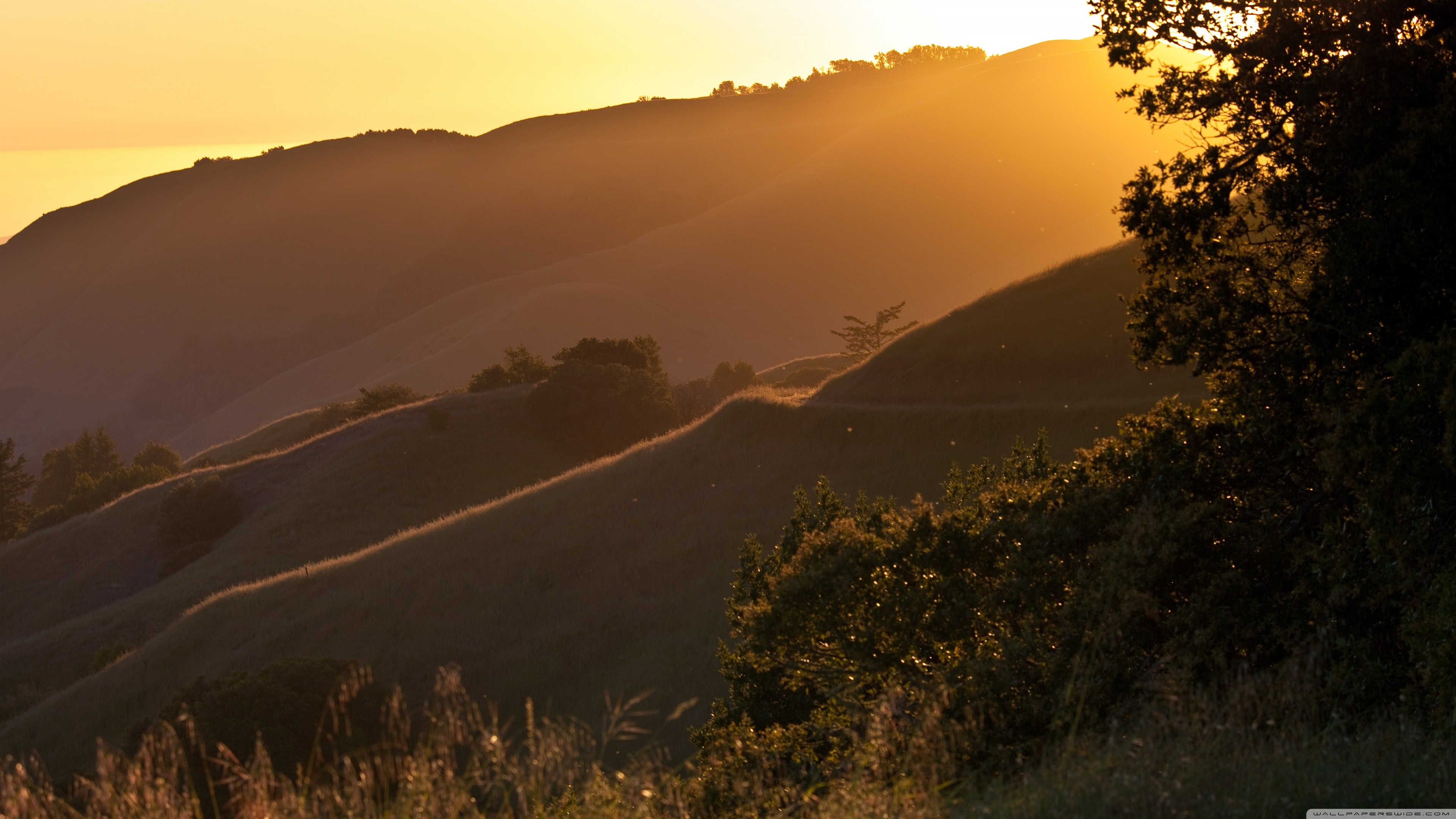 Colline, Tramonto, Luce dorata, 16:9 4K, wallpaper widescreen