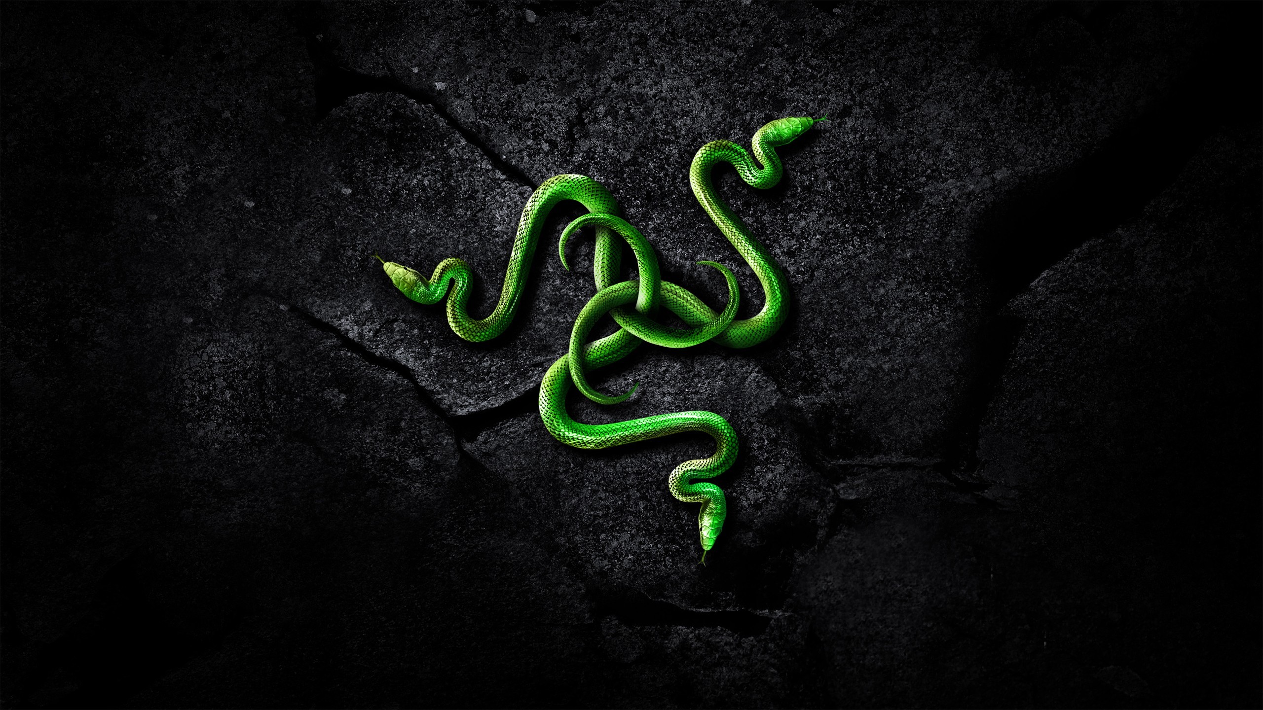 Razer, Logo Razer, Serpenti, Pietra, Verde, 2560x1440, sfondo per PC
