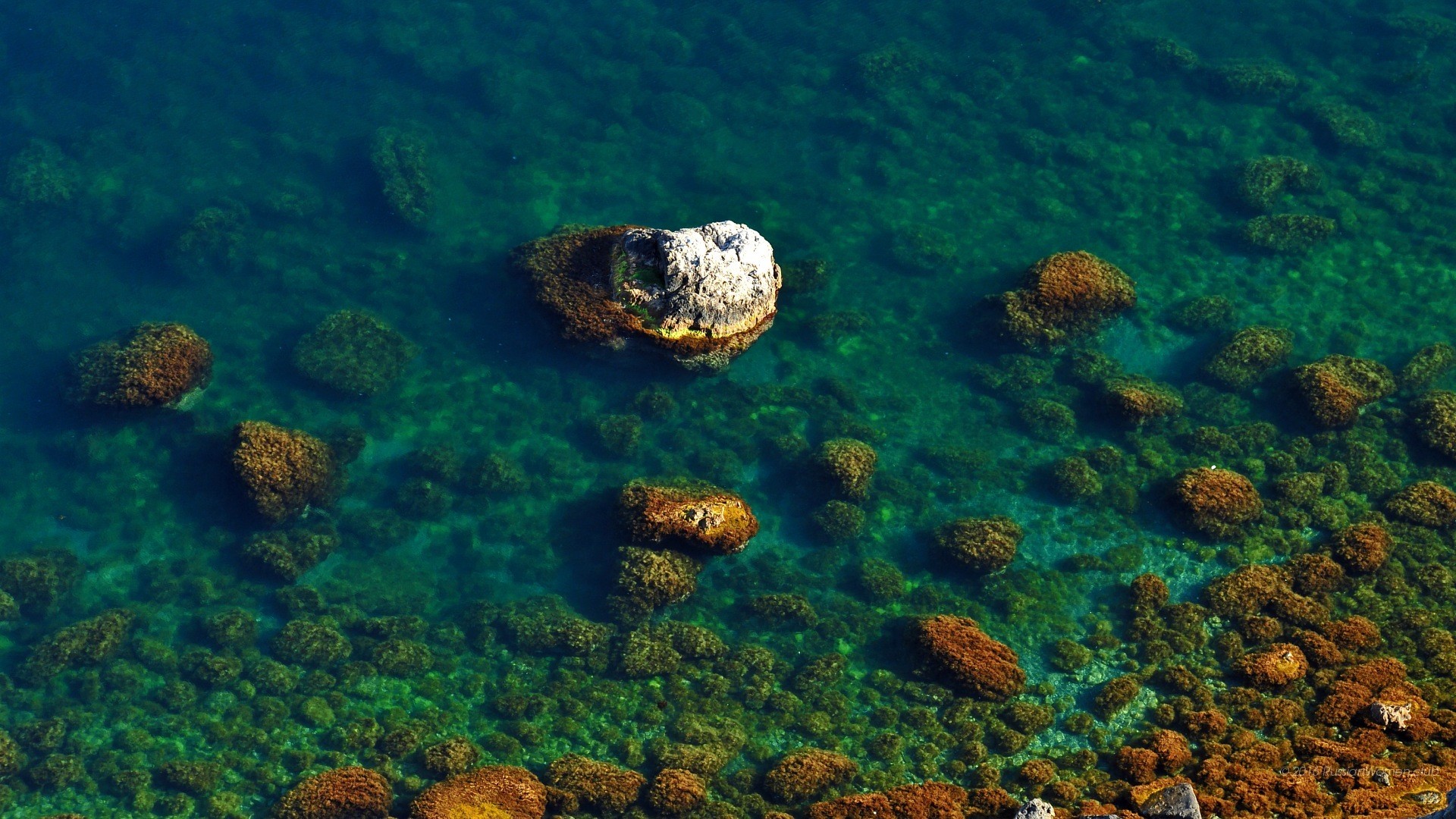 Full HD 1920x1080 - bella carta da parati desktop libero, wallpaper HP