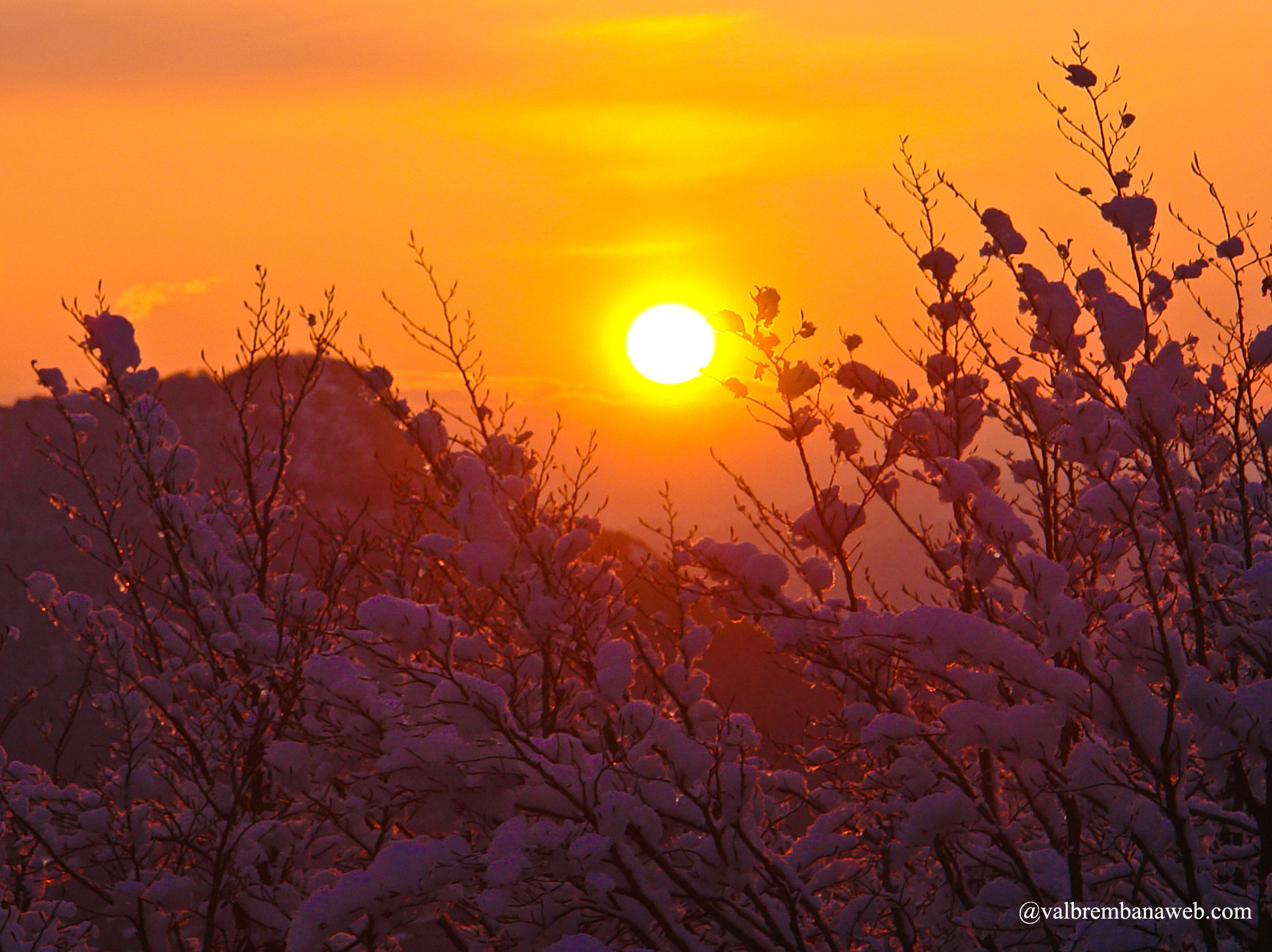 Tramonto, Rami, Sole, Arancione, Full HD, schermata di blocco iPad