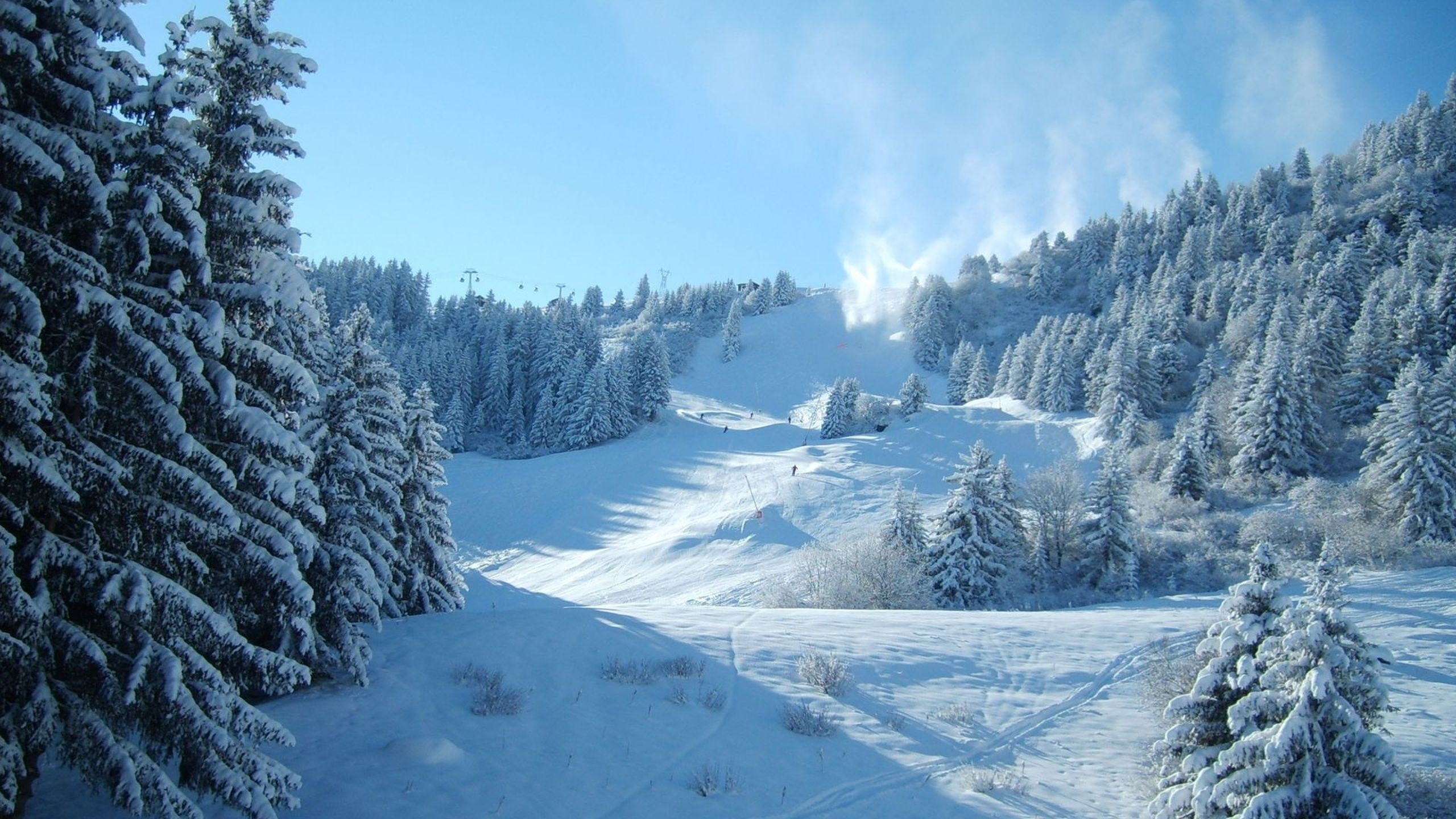Neve, Inverno, Pini, Foresta, 2560x1440, sfondo per PC