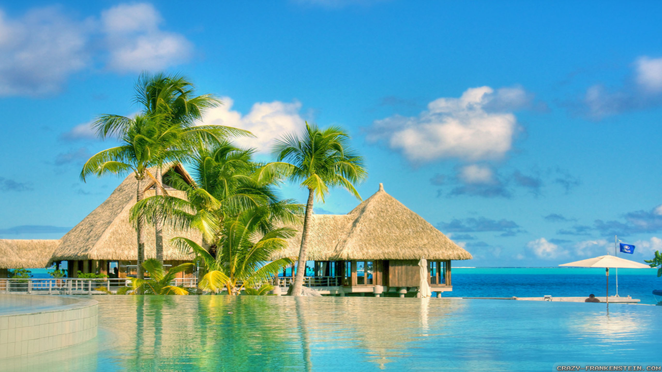 Bungalow, Palme, Piscina a sfioro, Resort tropicale, 2K, wallpaper per PC