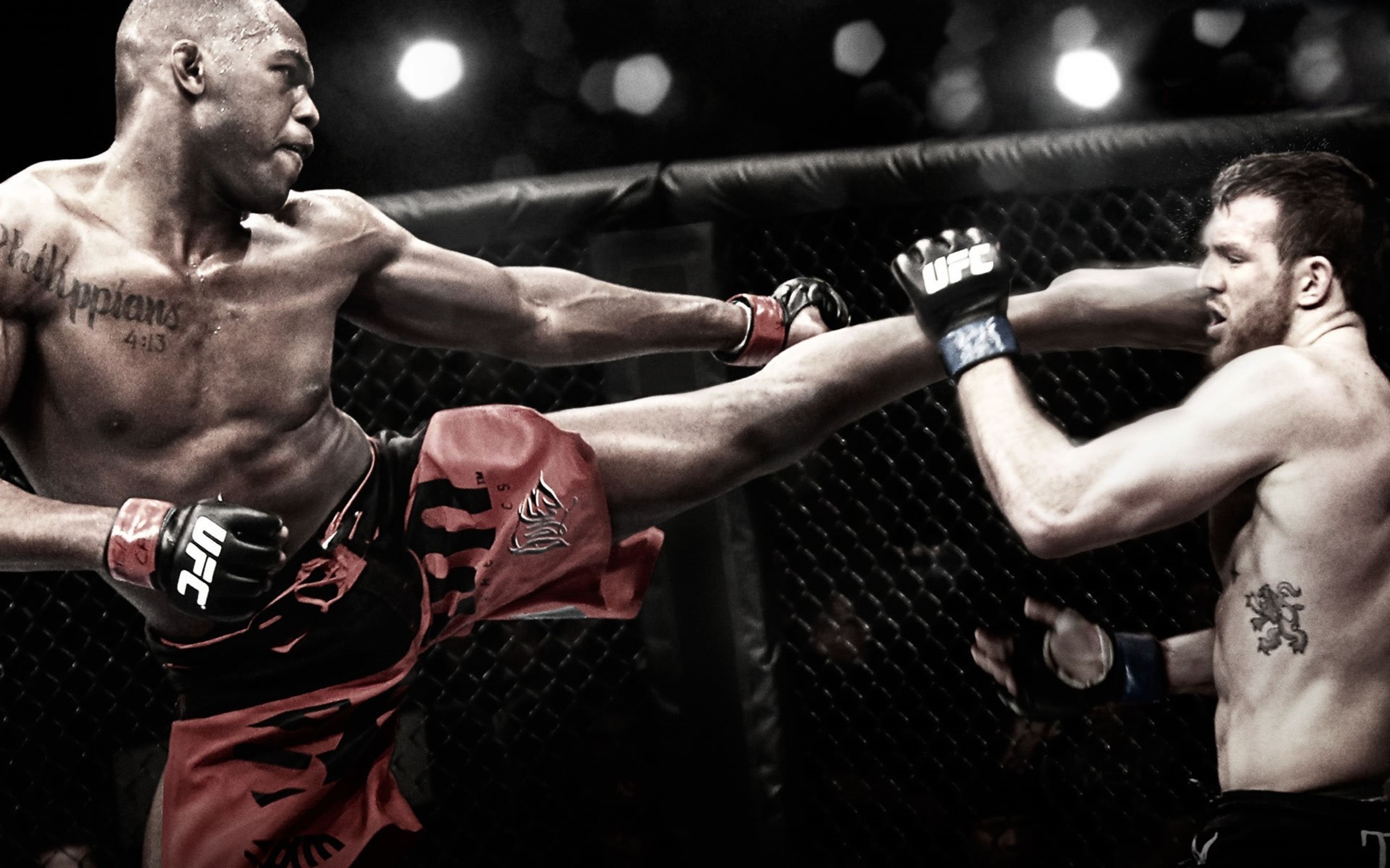 Jon Jones, UFC, MMA, Calcio, Gabbia, 2560x1600, sfondo per PC