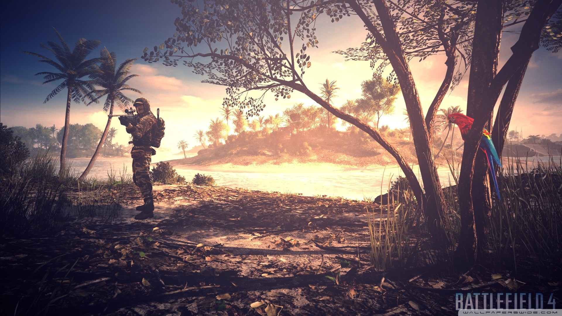 Battlefield 4, Soldato, Isola tropicale, Pappagallo, Tramonto, 1920x1080, immagine di sfondo