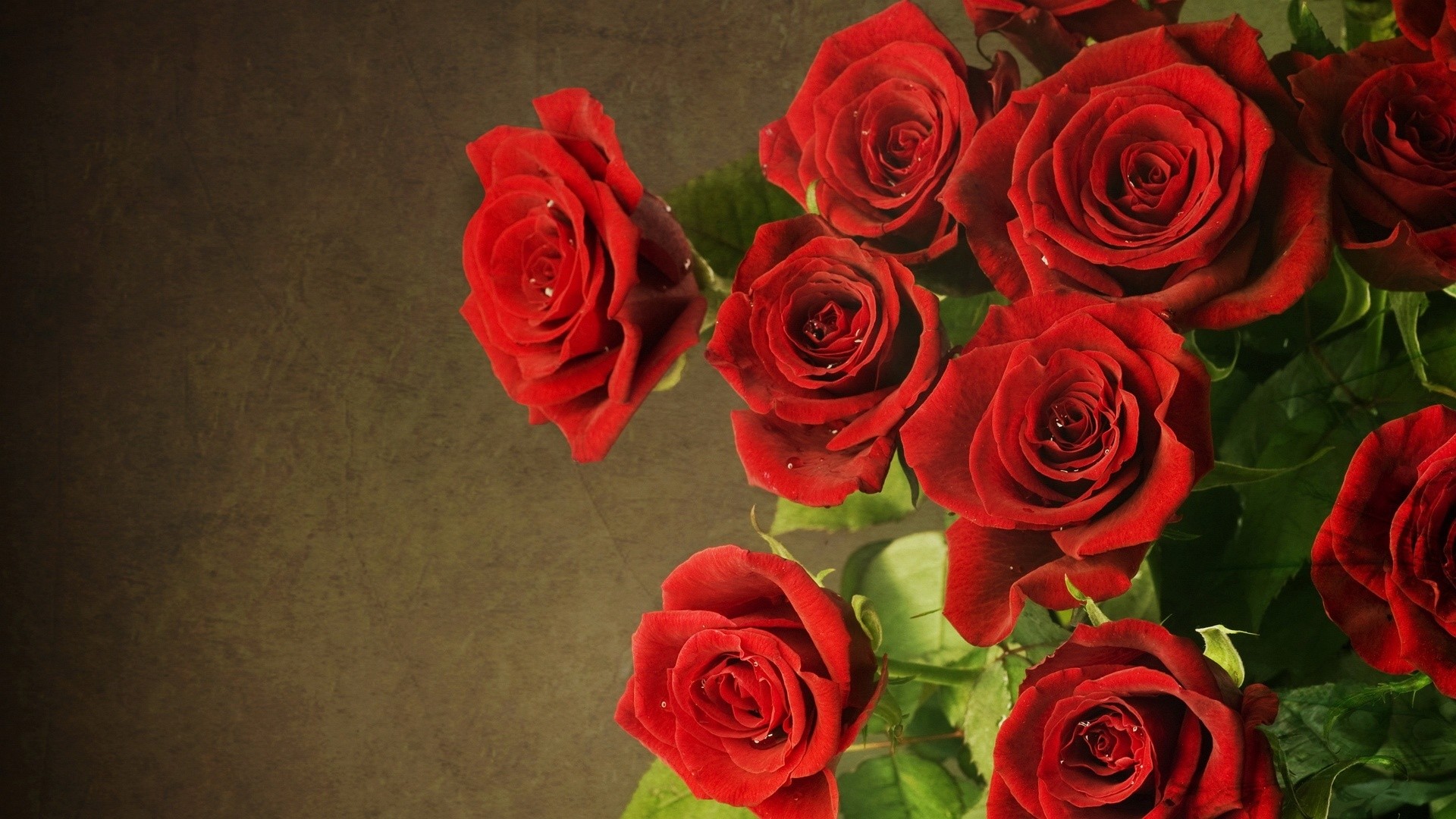 Rose rosse, Mazzo di rose, Sfondo vintage, Fiori, 1920x1080, wallpaper desktop