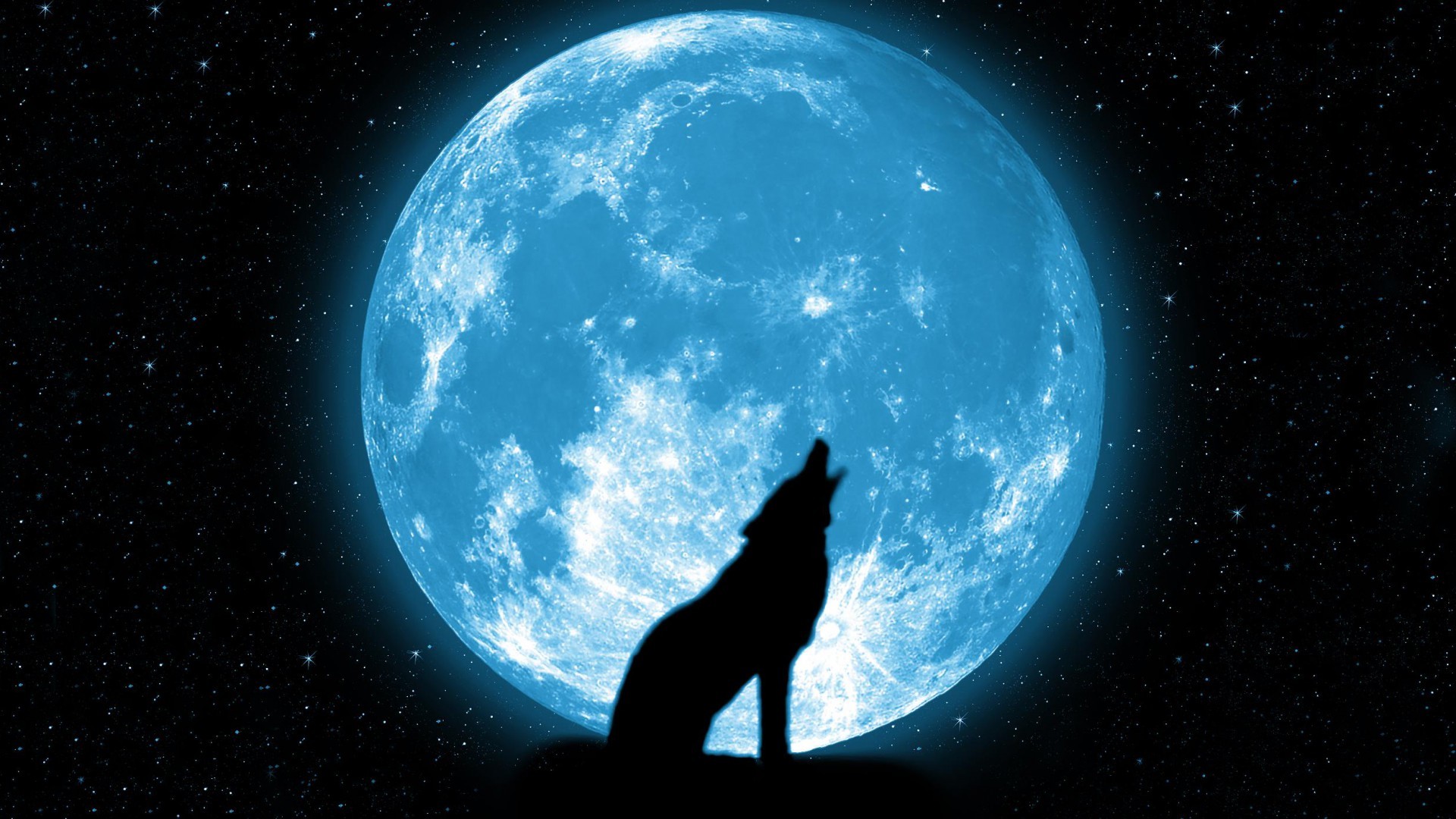 Lupo, Ululato, Luna piena, Silhouette, Cielo stellato, 1920x1080, immagine di sfondo