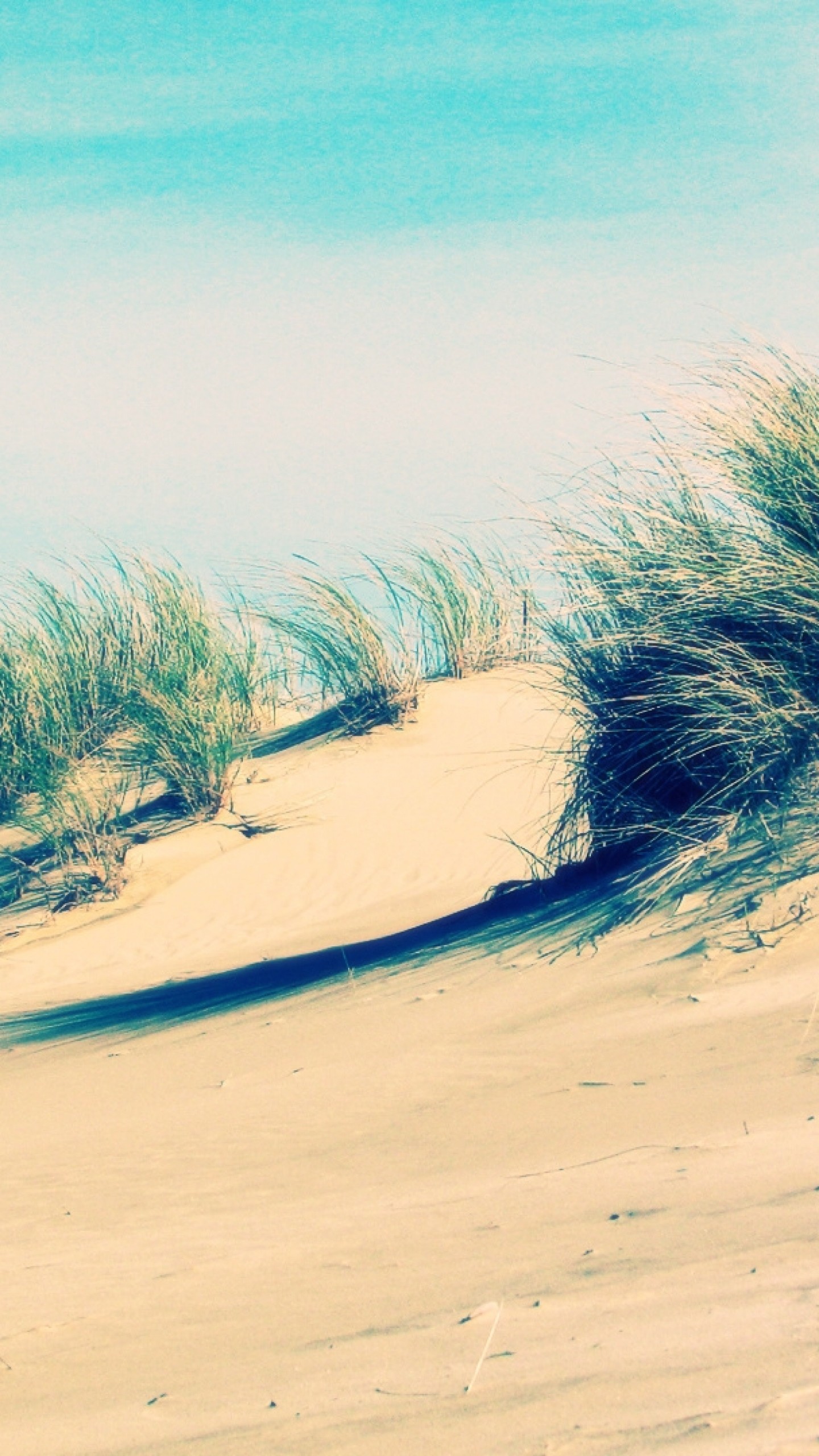Dune, Spiaggia, Erba, Azzurro, QHD+, sfondo per iPhone e Android