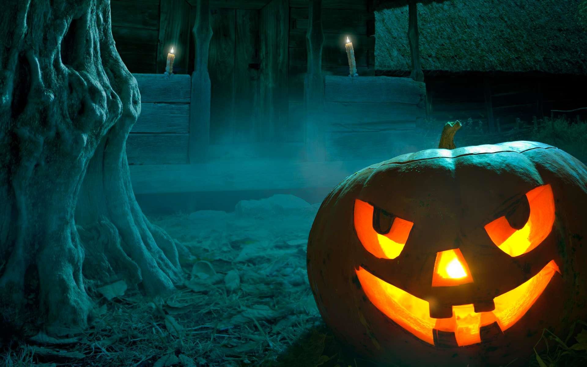 Halloween, Zucca intagliata, Jack-o'-lantern, Notte, sfondo per il tuo cellulare