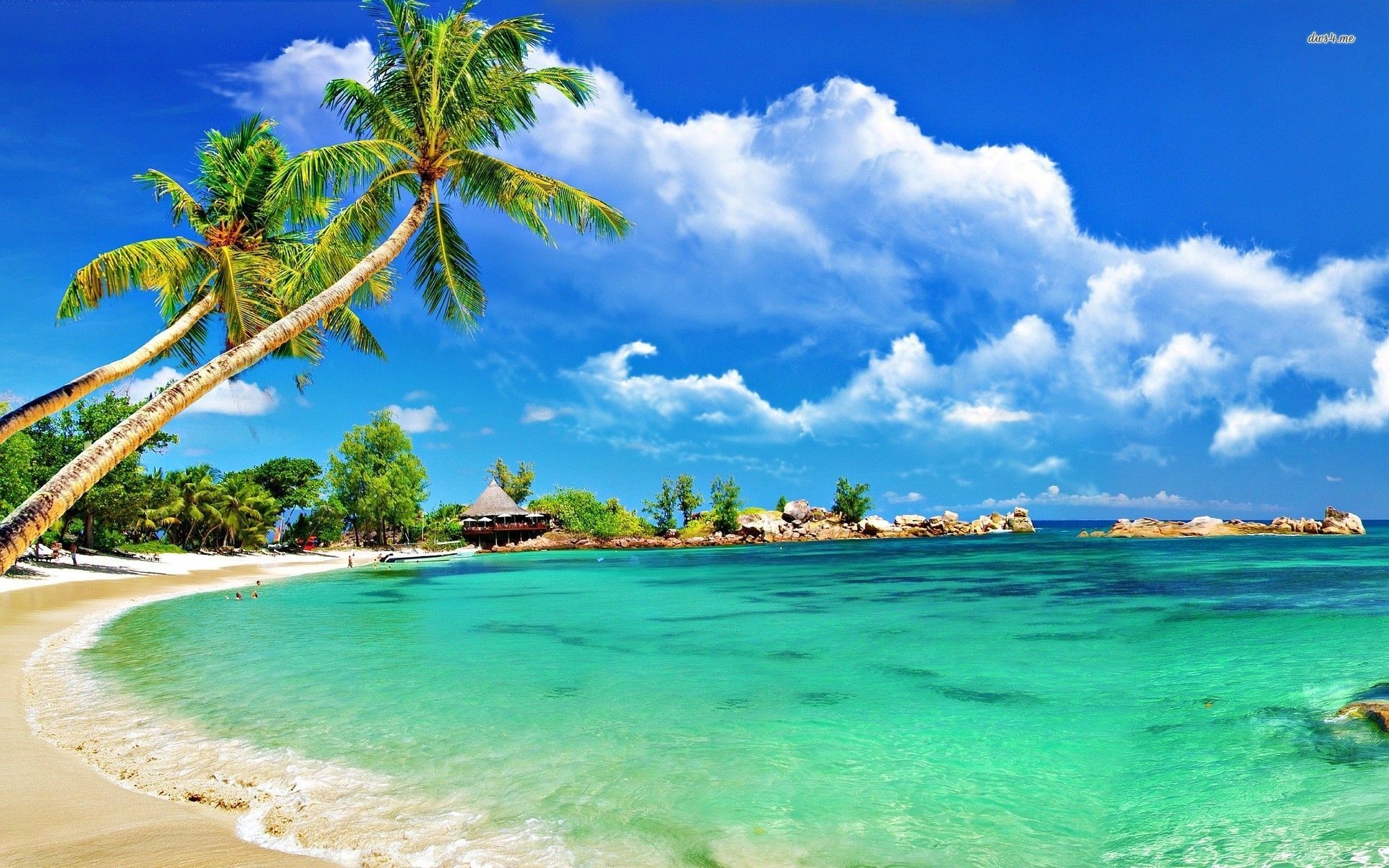 Baia, Palme, Acqua smeraldo, Nuvole, 16:10 Full HD, sfondo widescreen