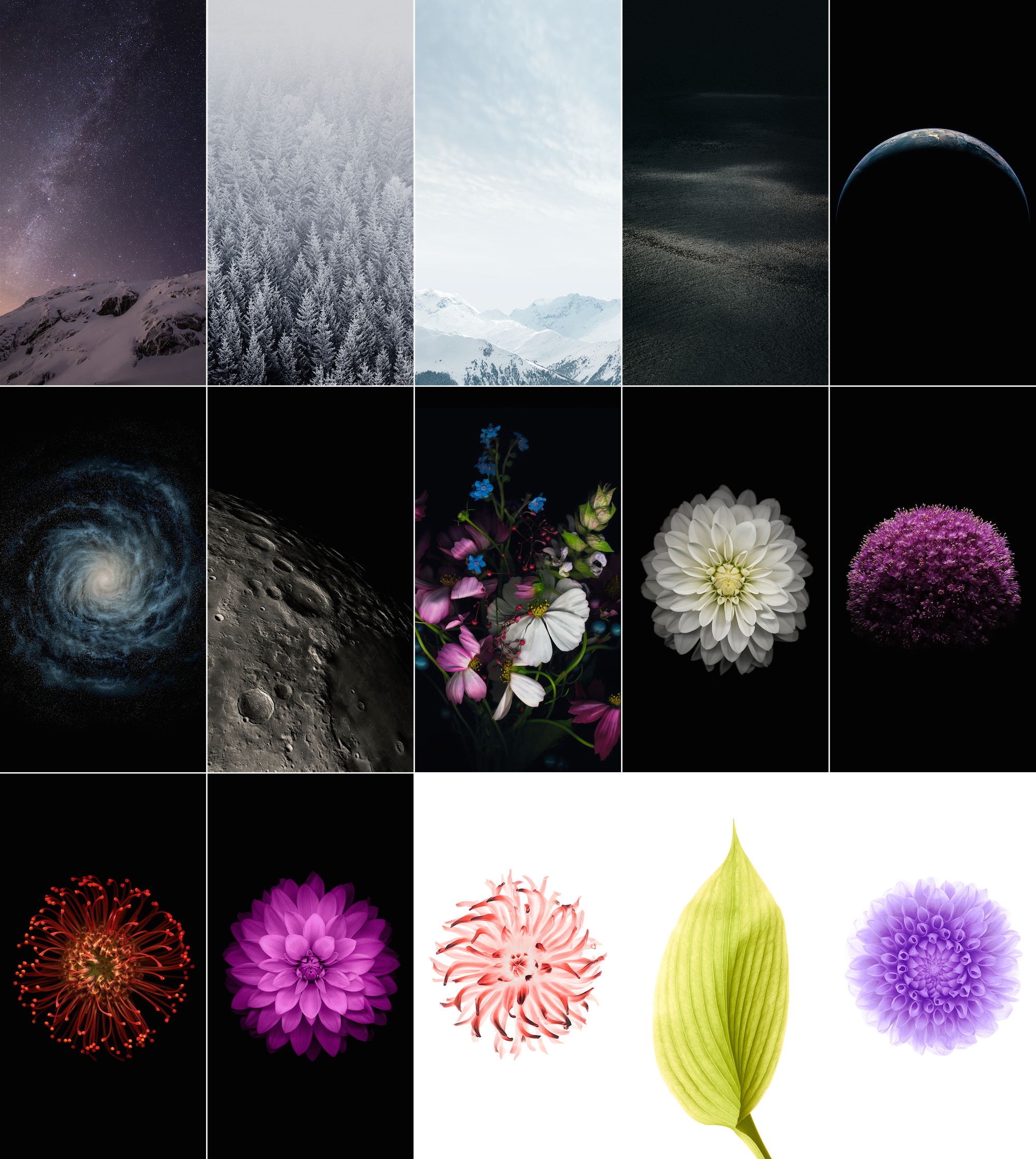 iOS 8, Collezione sfondi, Fiori, Spazio, Full HD, wallpaper per tablet