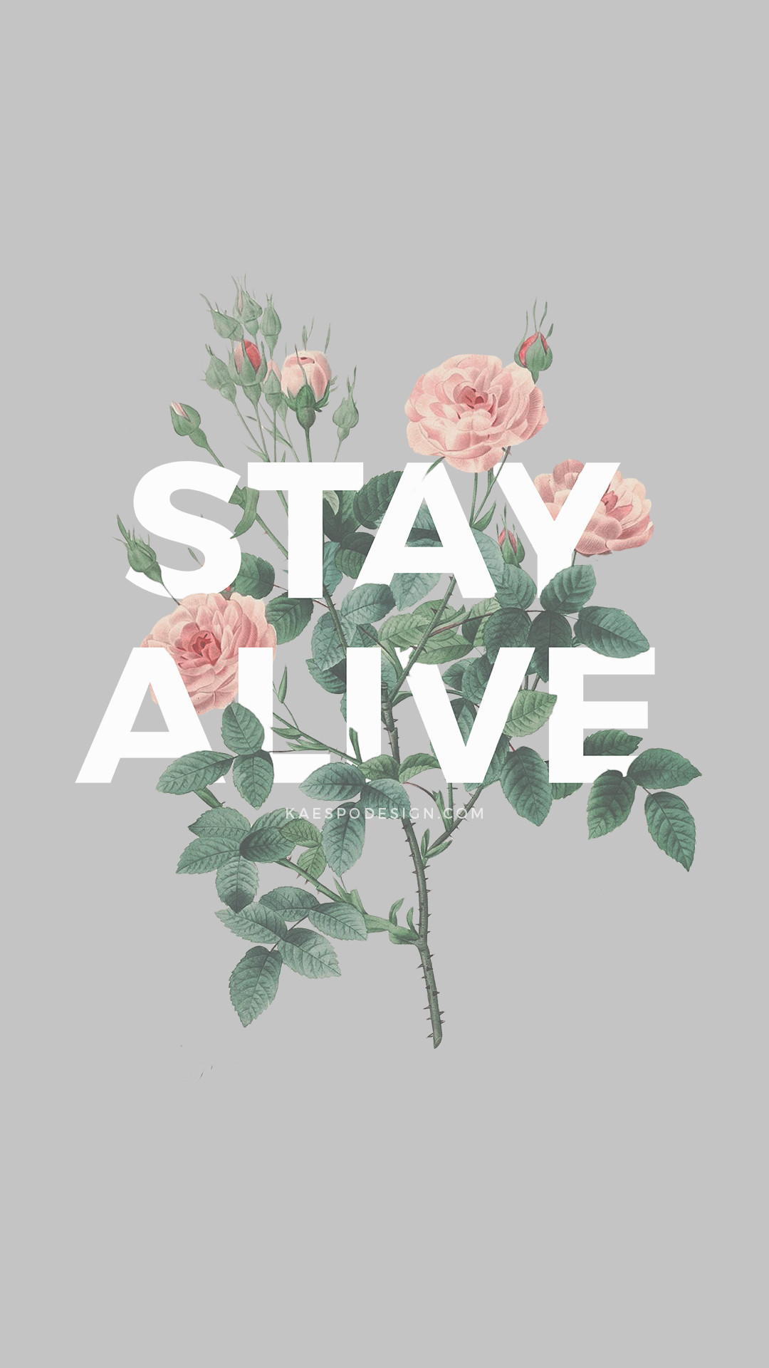Stay Alive, Rose, Citazione, Grigio, Minimalismo, 1080x1920, schermata di blocco iPhone