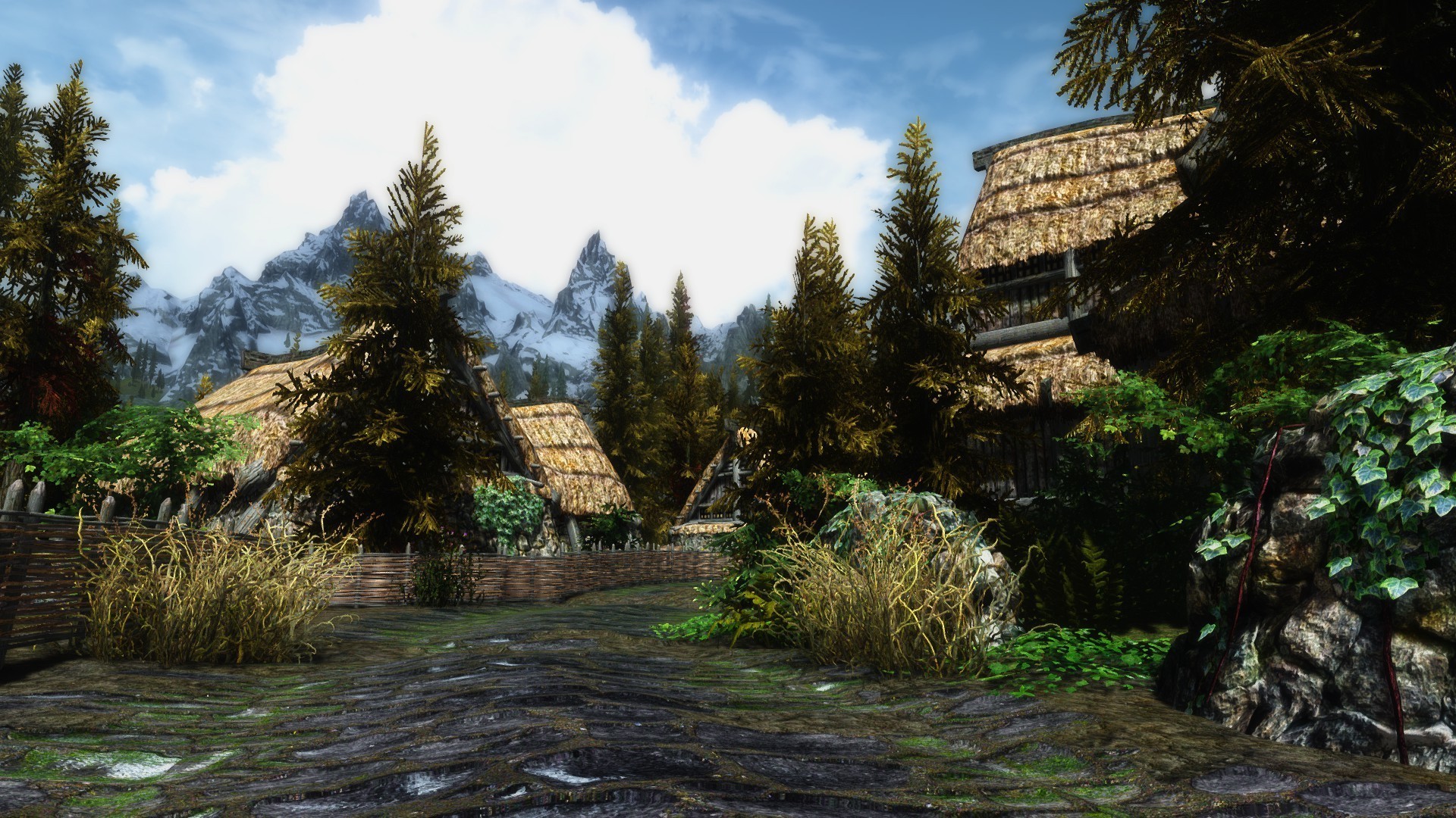 The Elder Scrolls V: Skyrim, Villaggio, Riverwood, Bosco, 16:9 Full HD, wallpaper widescreen