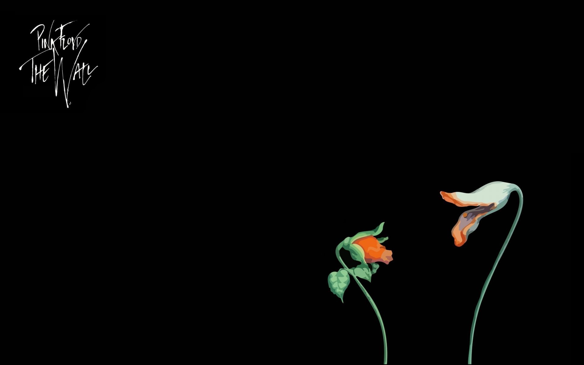 The Wall, Pink Floyd, Fiori, Sfondo nero, Minimalista, Full HD, wallpaper desktop