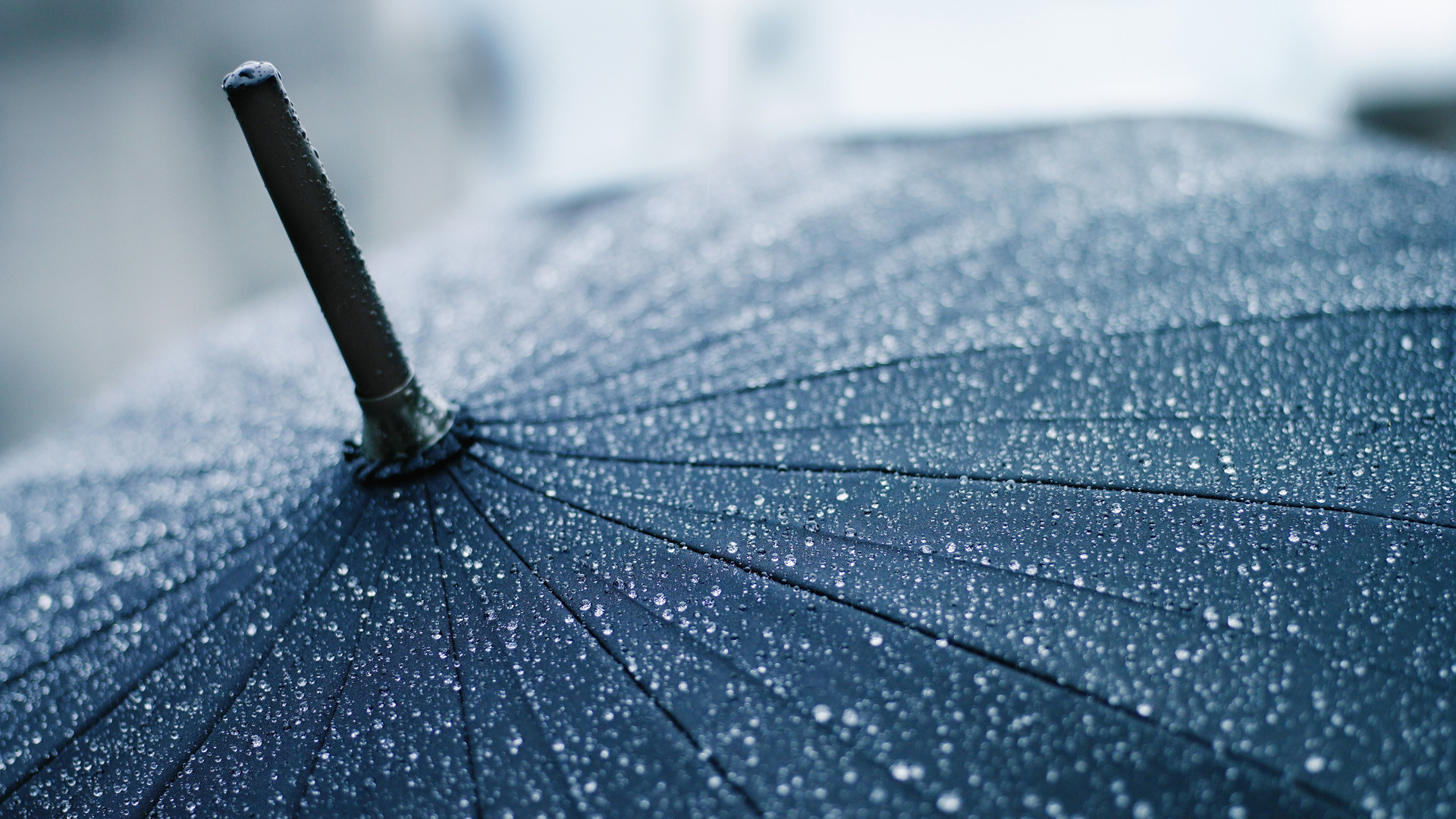 Ombrello, Gocce di pioggia, Macro, Blu, 16:9 Full HD, wallpaper widescreen