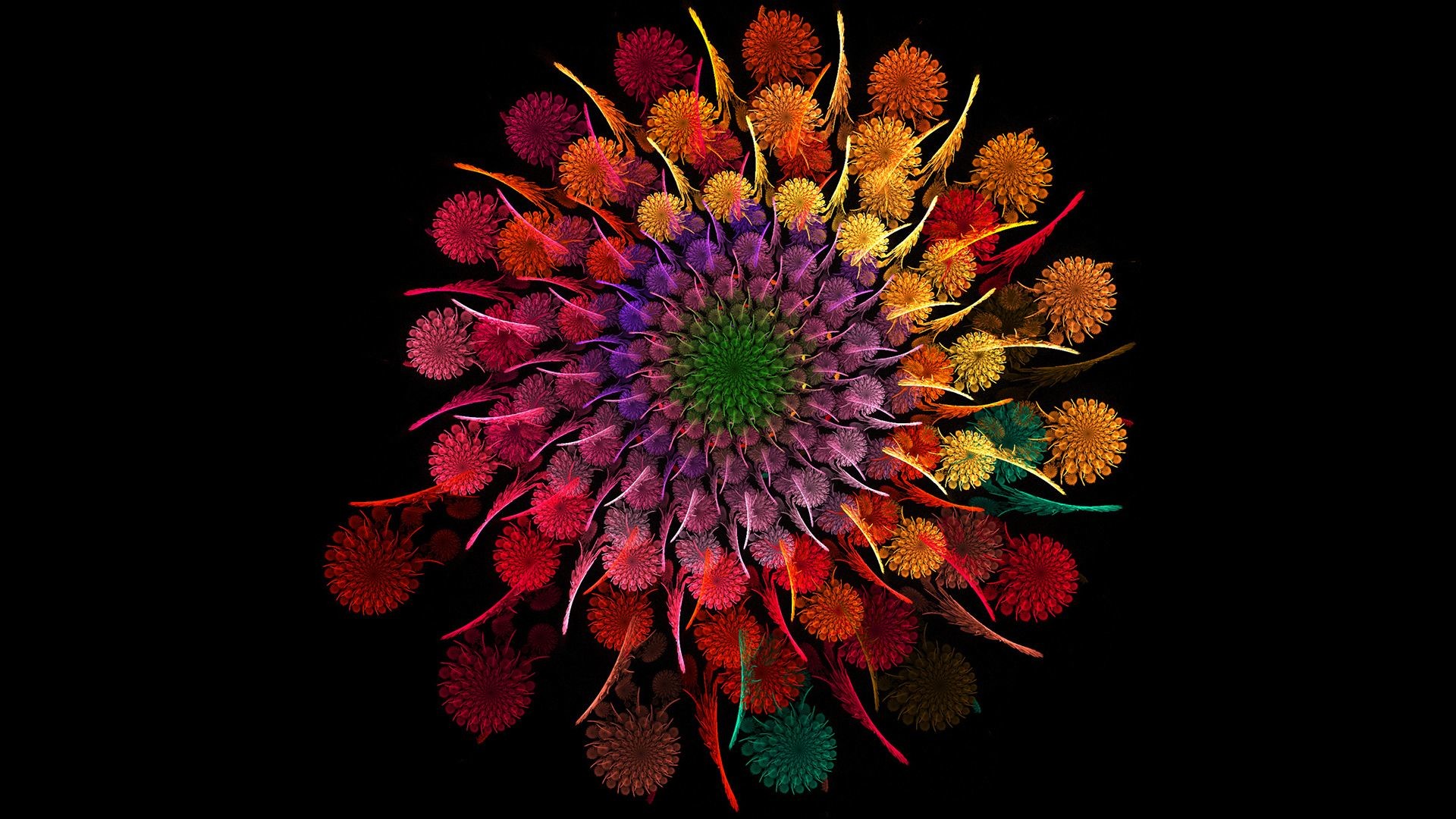 Fiori stilizzati, Mandala, Colori vivaci, Sfondo nero, Full HD, wallpaper per computer