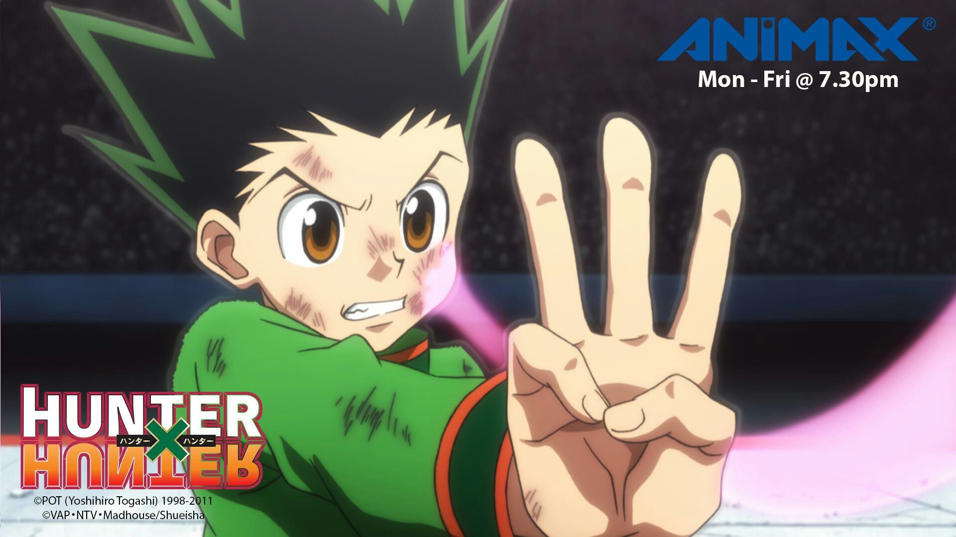 Gon Freecss, Hunter x Hunter, Jajanken, Animax, 1920x1080, immagine di sfondo
