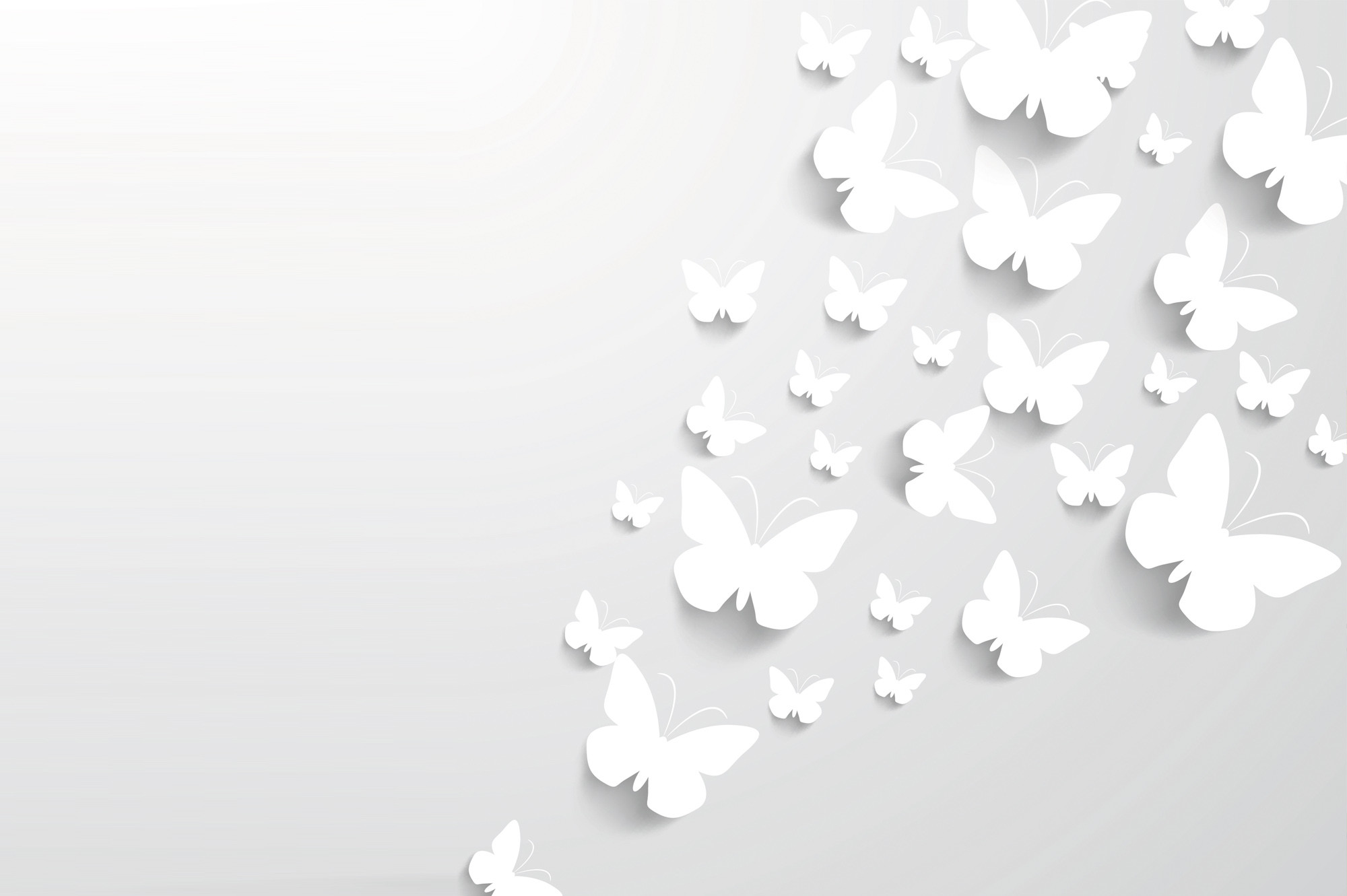 Farfalle di carta, Bianco, Minimalismo, Full HD, sfondo per portatile