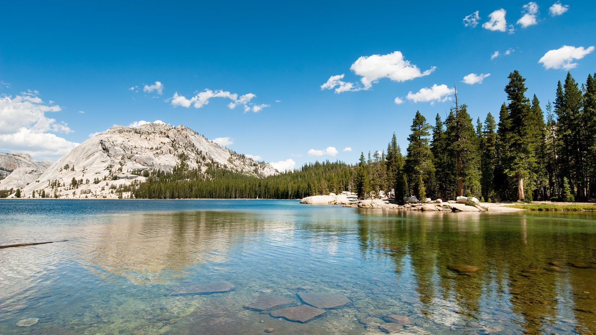 Tenaya Lake, Yosemite, California, Lago, Pini, 1920x1080, immagine di sfondo