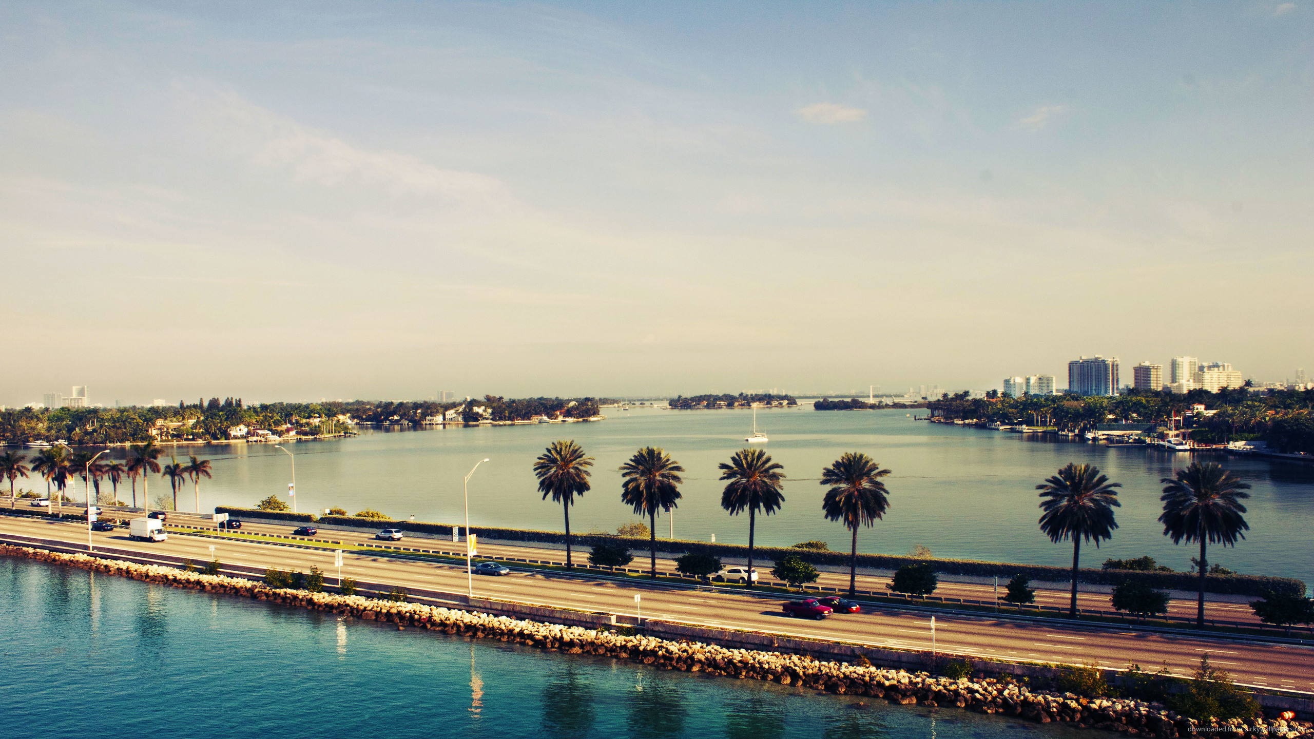 Miami, Causeway, Palme, Baia, 2K 1440p, sfondo desktop
