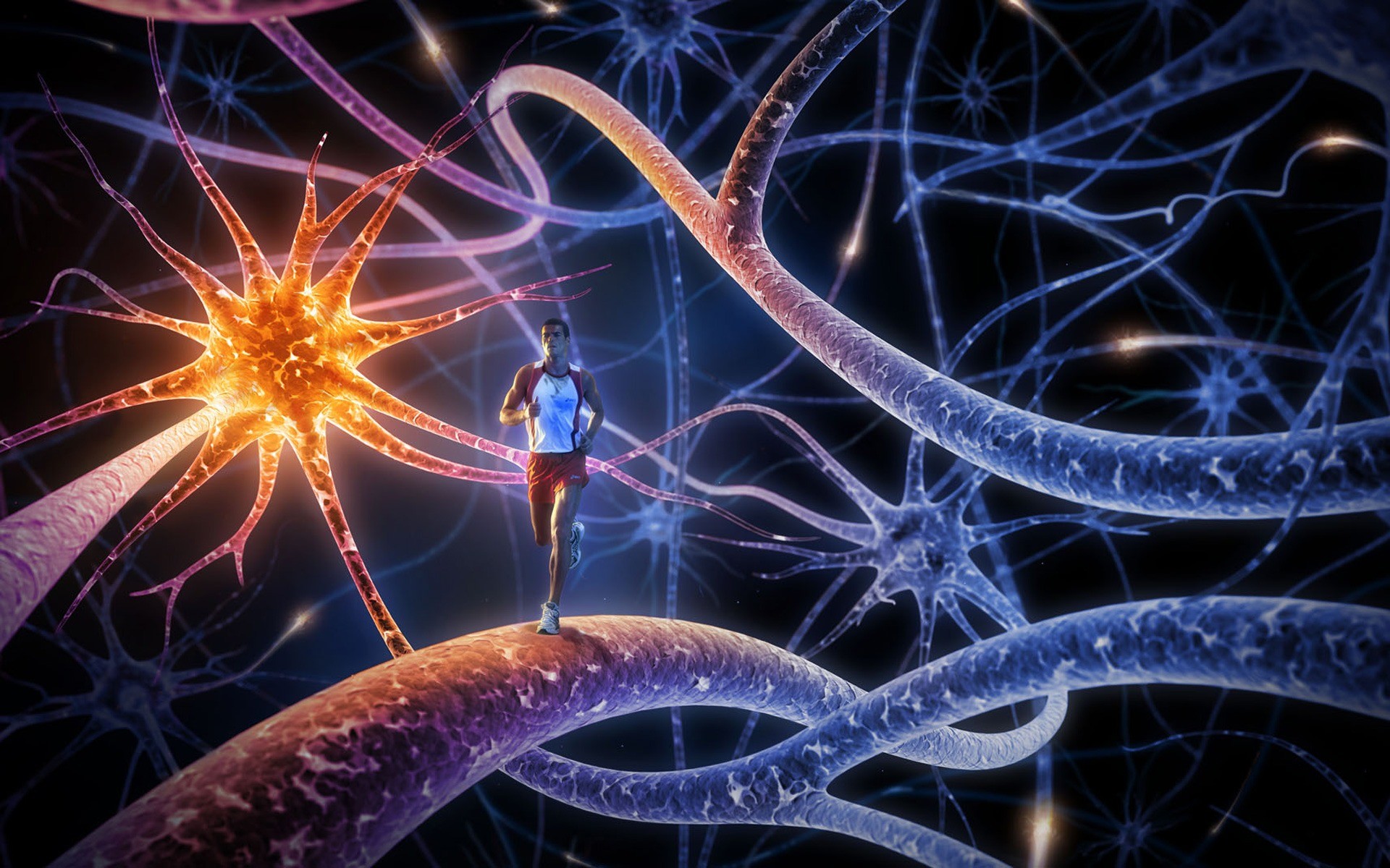 Neuroni, Sinapsi, Corridore, Arte digitale, Blu, 1920x1200, immagine di sfondo