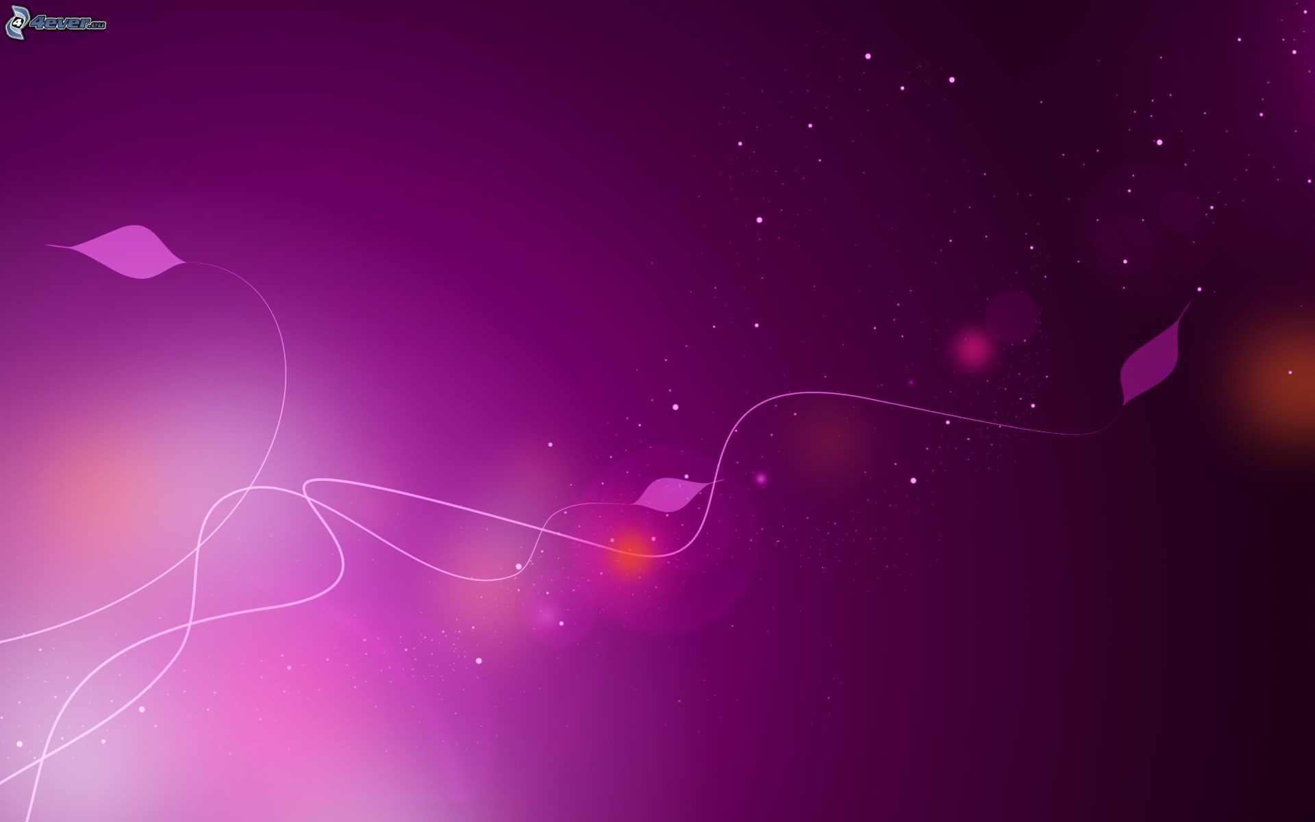 Petali, Bokeh, Viola, Astratto, 1920x1200, sfondo per PC