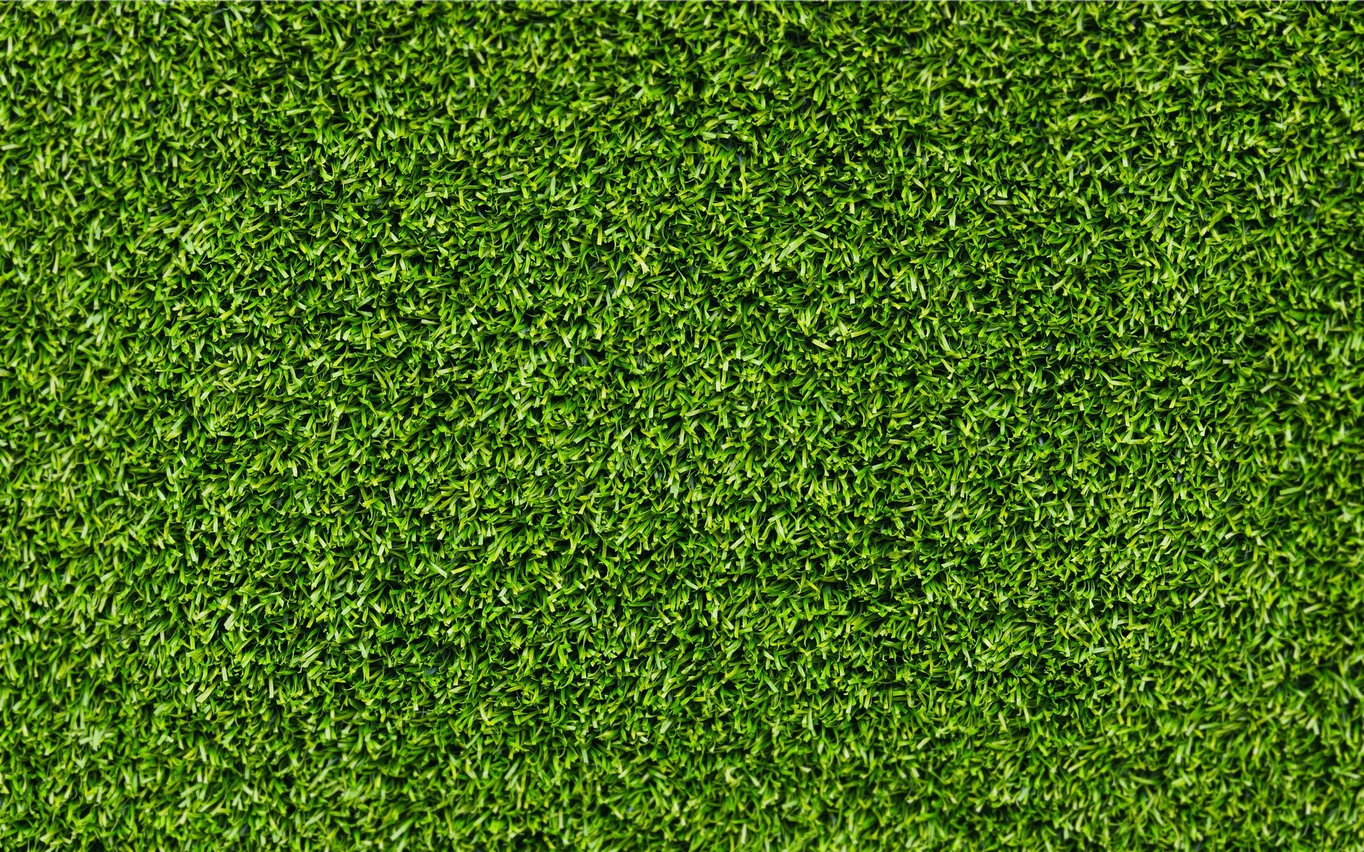 Texture erba, Prato, Verde, Full HD, sfondo per PC