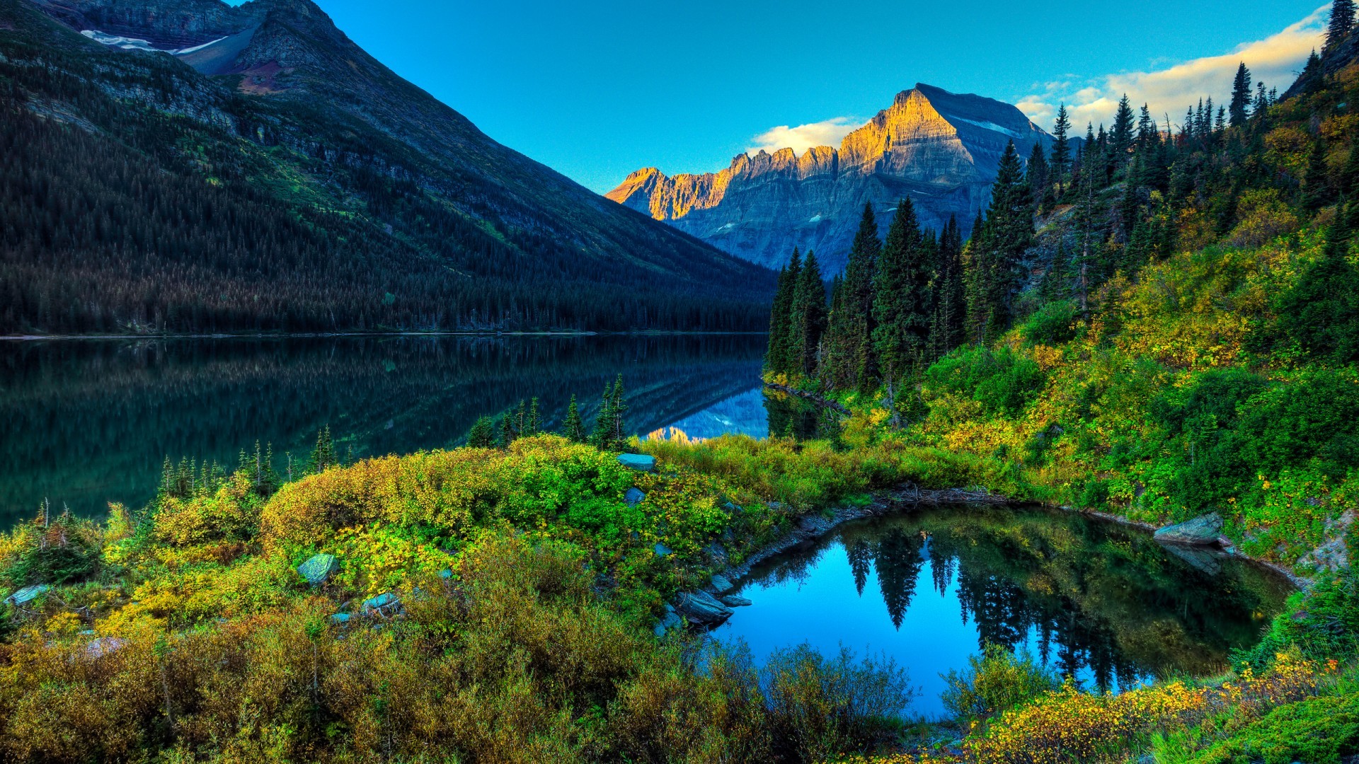 Lago di montagna, Foresta, Montagne, Vegetazione, Full HD, sfondo desktop