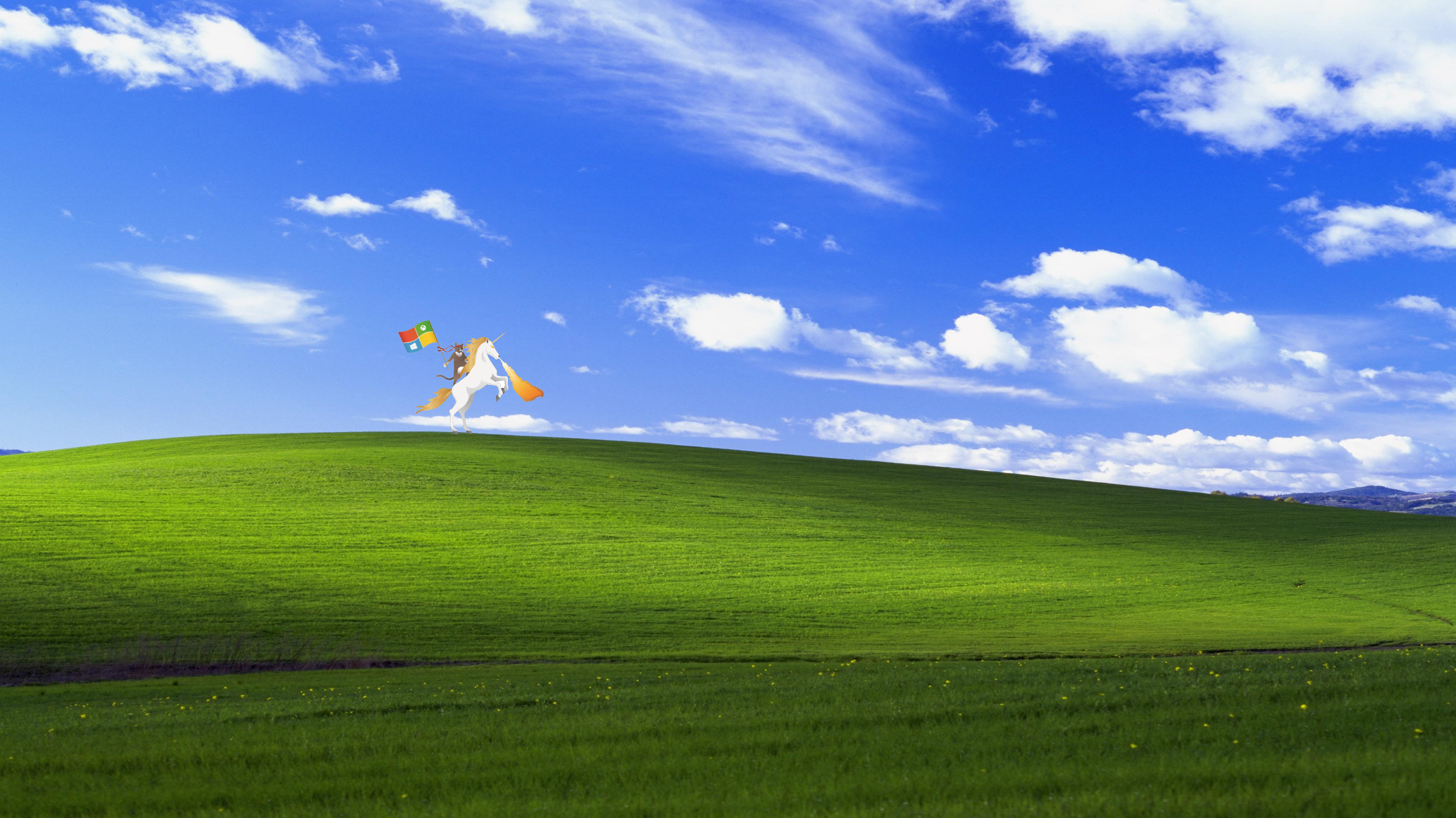 Bliss, Windows XP, Collina verde, Cielo azzurro, 16:9 2K, sfondo widescreen