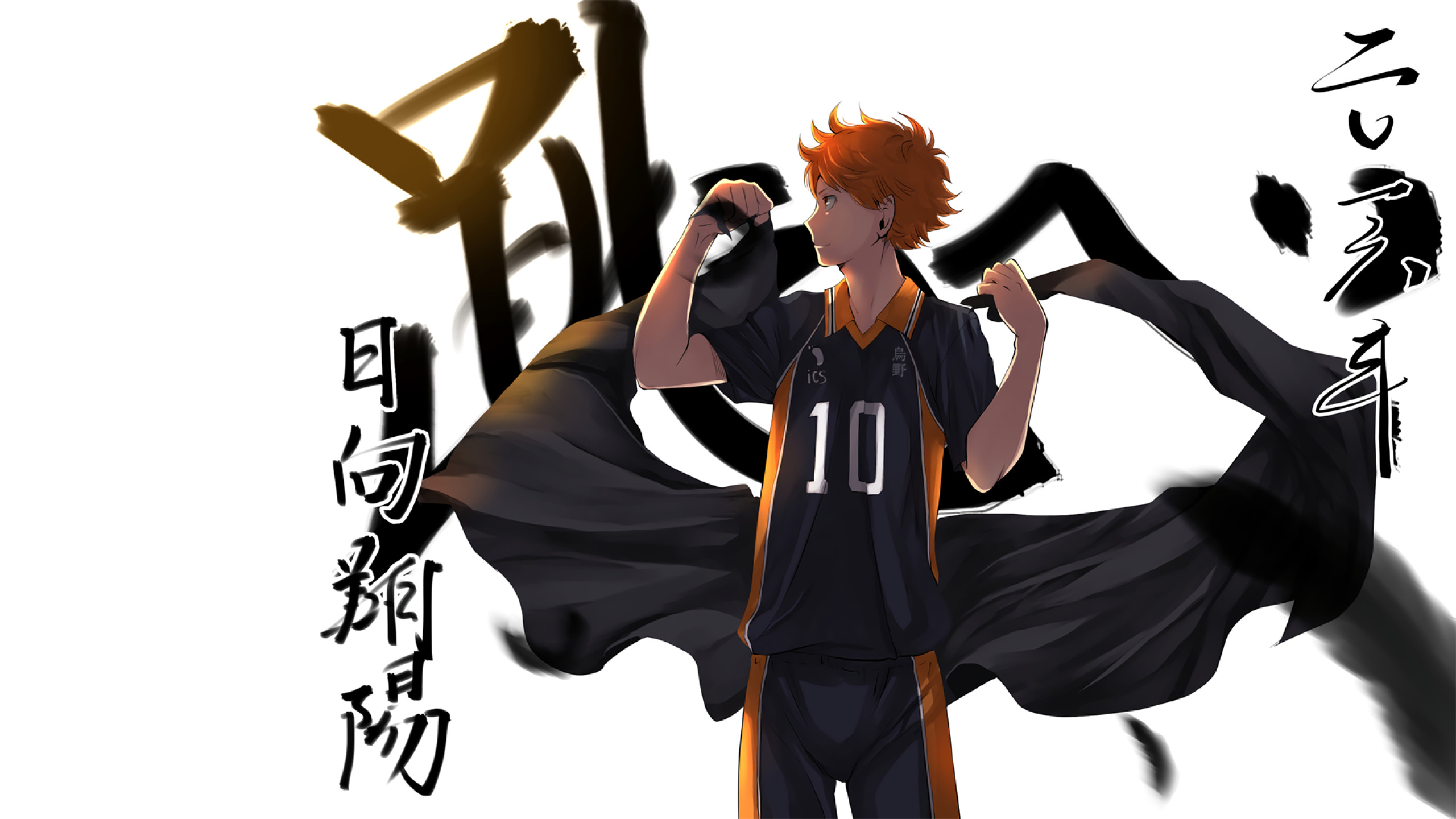 Shoyo Hinata, Haikyu!!, Calligrafia, Numero 10, 2560x1440, sfondo per PC