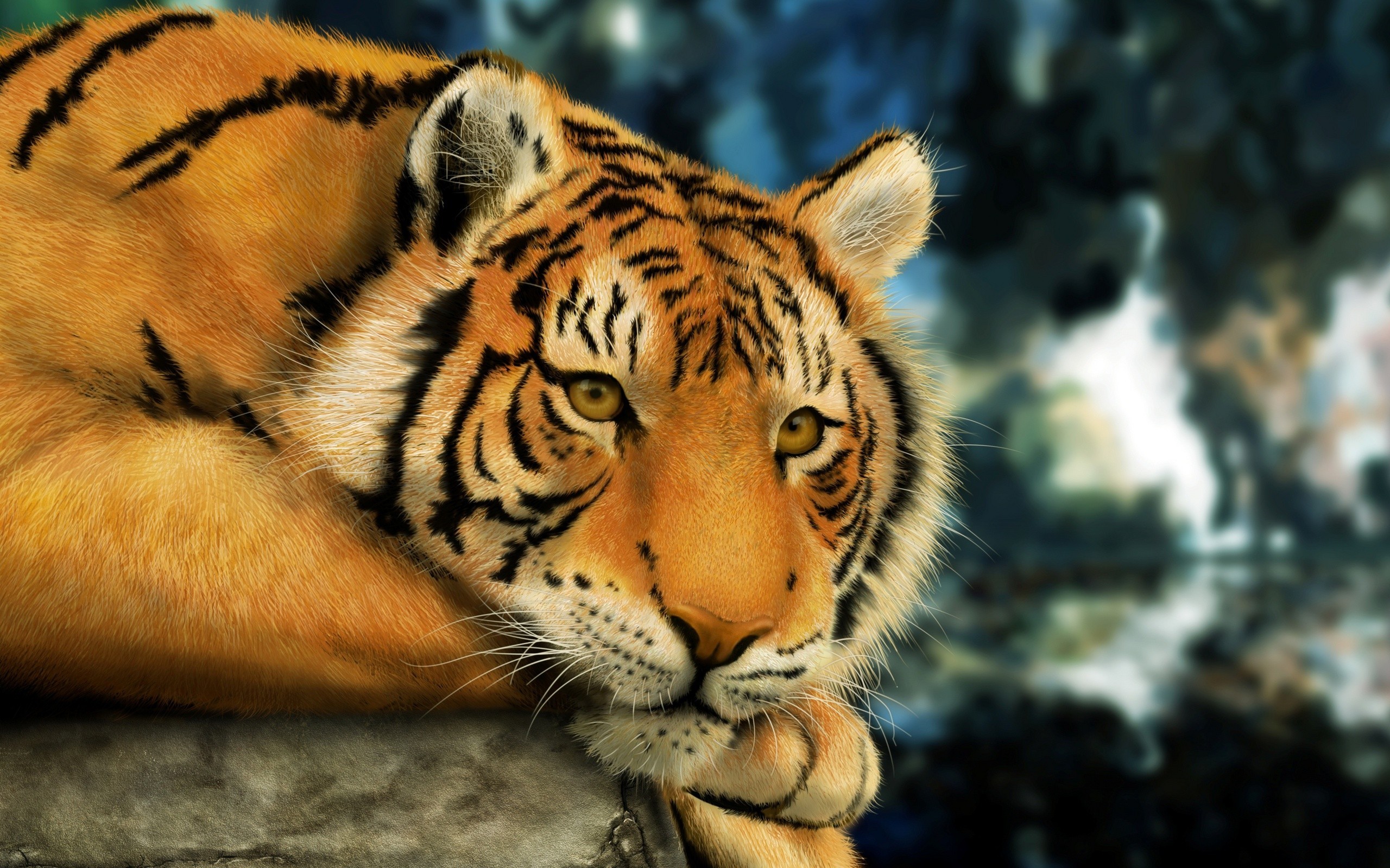 Tigre, Ritratto, Animale, Bokeh, 2K, sfondo desktop
