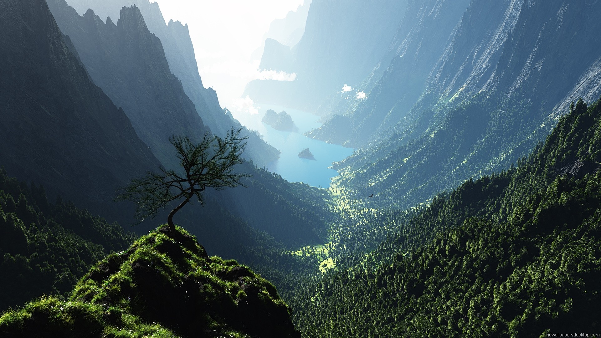 Valle, Montagne, Albero, Nebbia, Full HD, sfondo per il tuo desktop