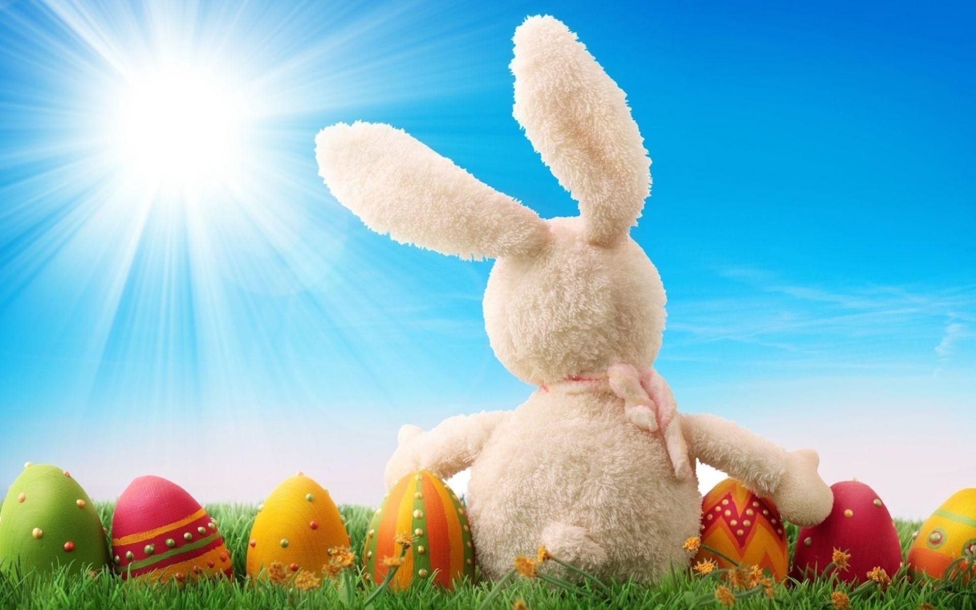 Coniglietto di peluche, Uova di Pasqua, Sole, Cielo azzurro, Erba, sfondo Full HD per portatile