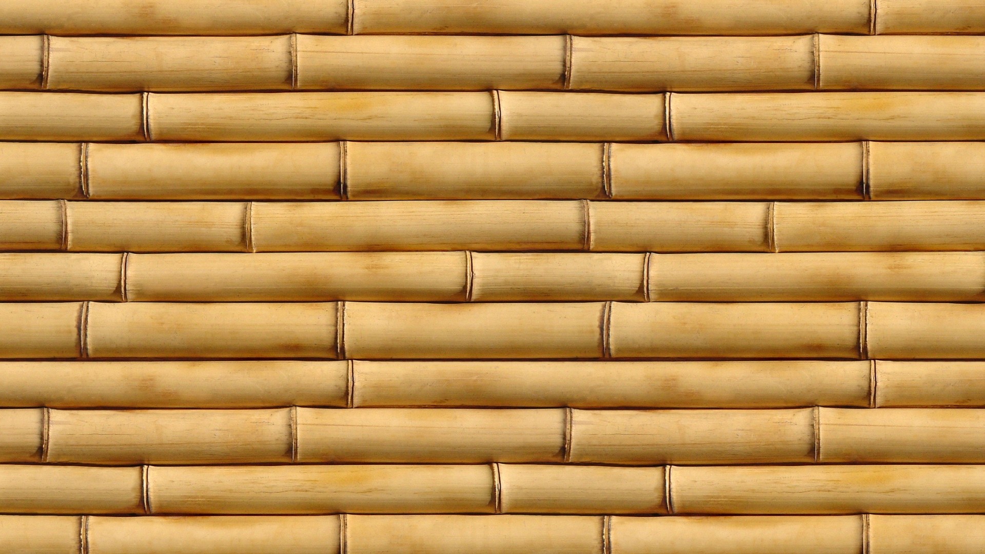 Bambù, Canne orizzontali, Texture, Full HD, sfondo Windows 11