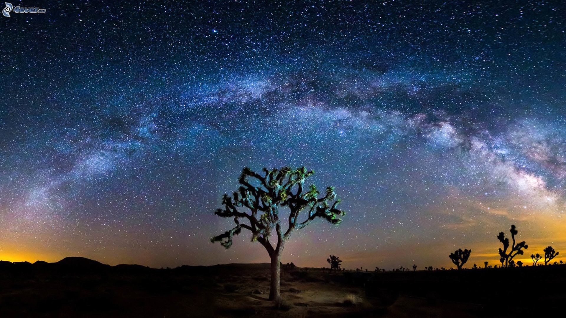Via Lattea, Albero di Giosuè, Deserto, Cielo stellato, Full HD, wallpaper desktop