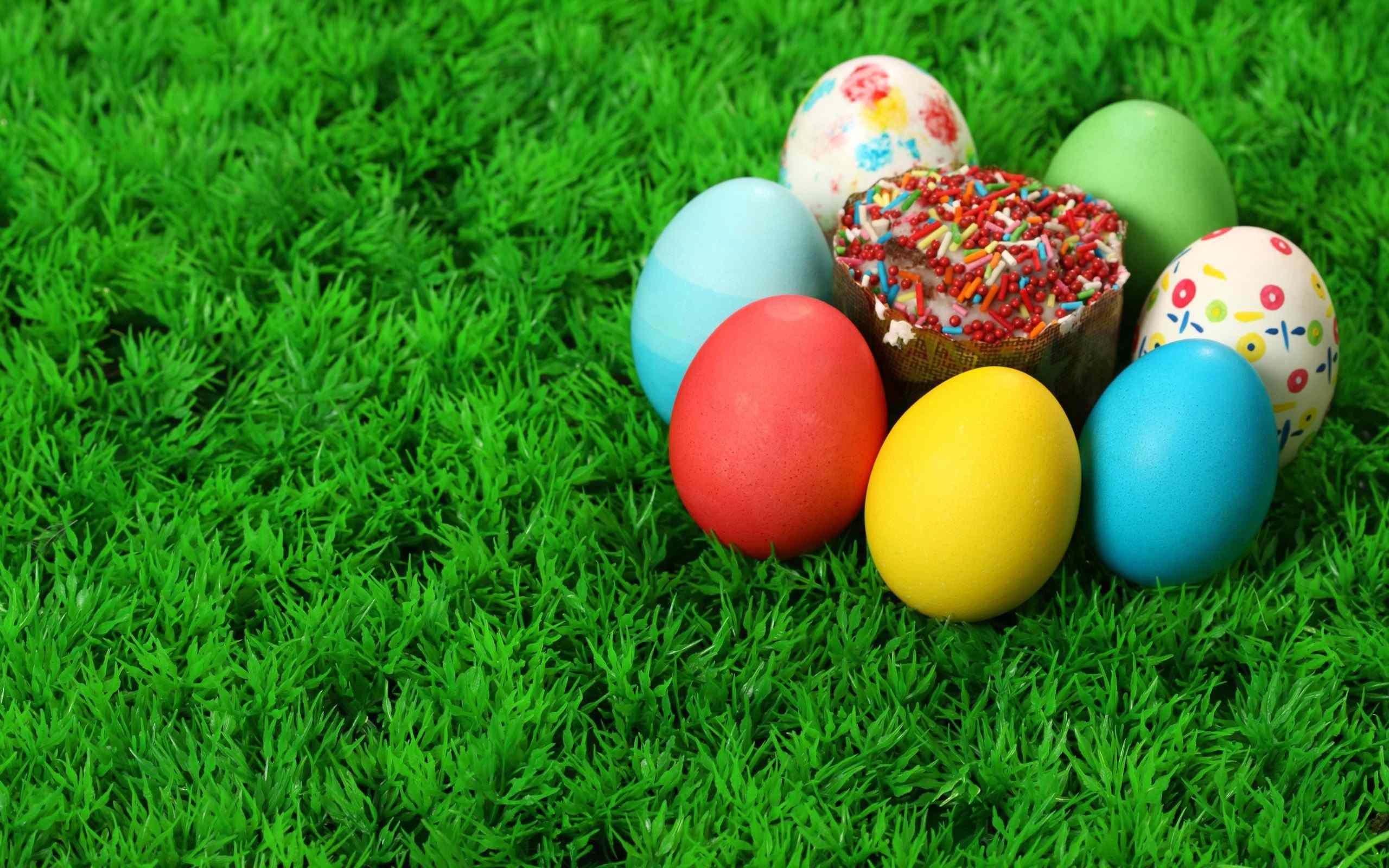 Uova di Pasqua, Colomba pasquale, Prato, Uova colorate, 2K, sfondo per PC