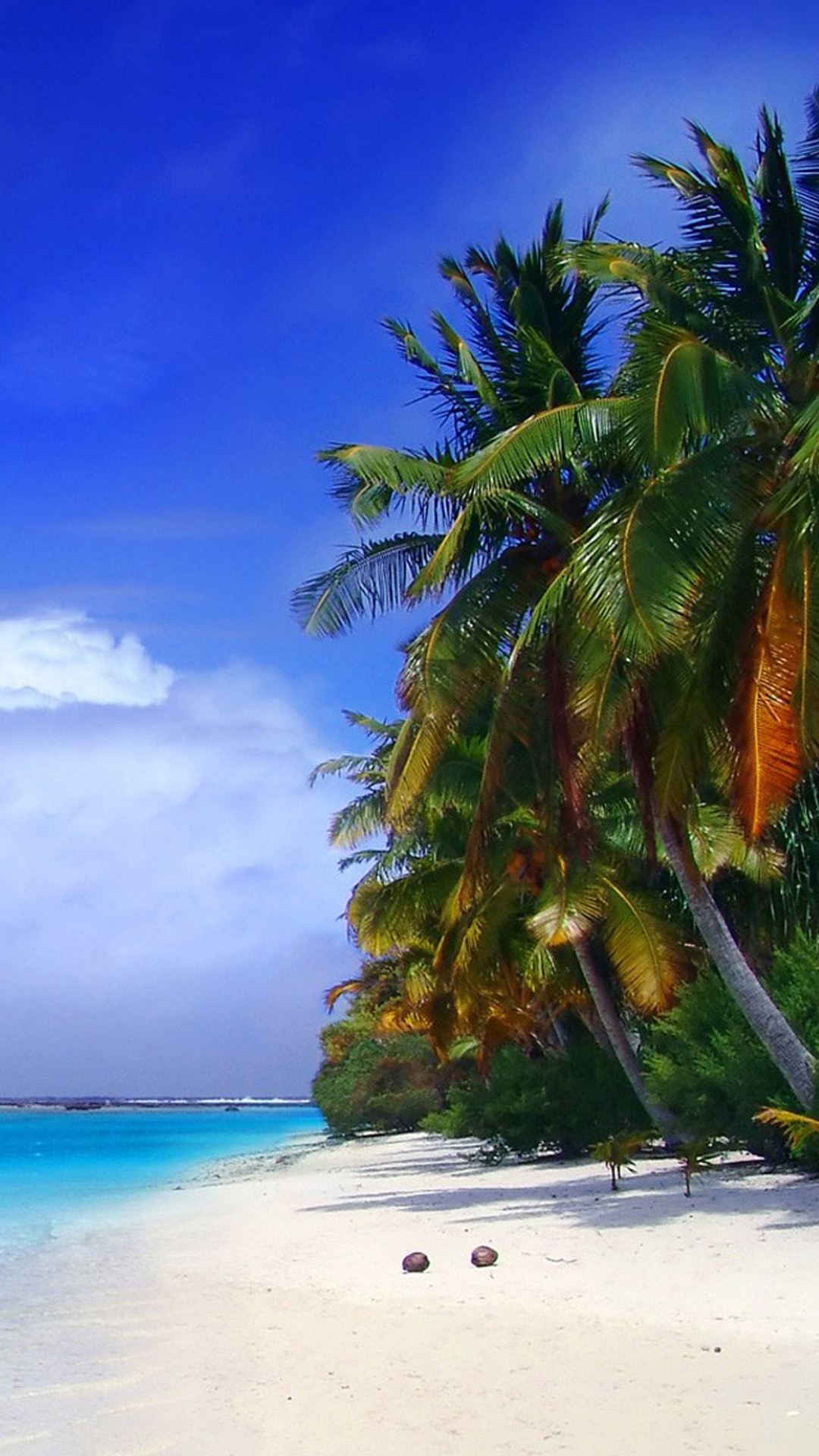 Spiaggia tropicale, Palme, Sabbia bianca, Cielo blu, Full HD, sfondo per iPhone e Android