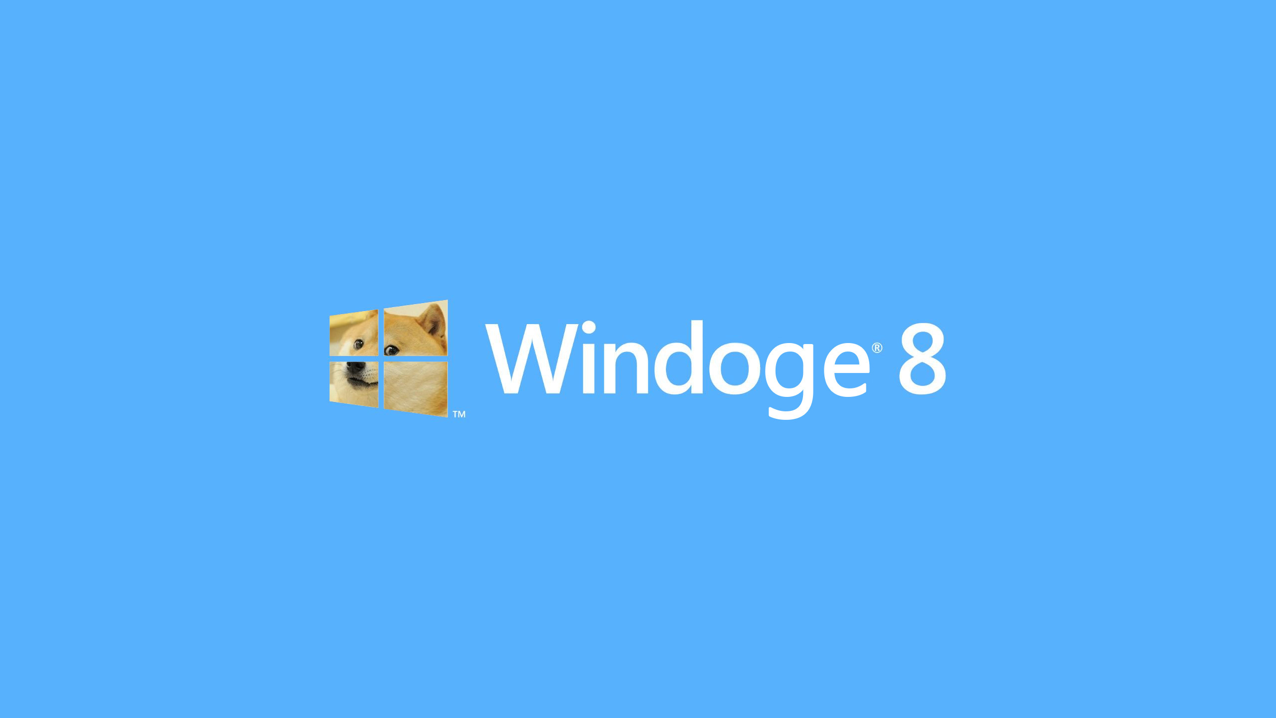 Windoge 8, Doge, Windows 8, Parodia, 2560x1440, immagine di sfondo