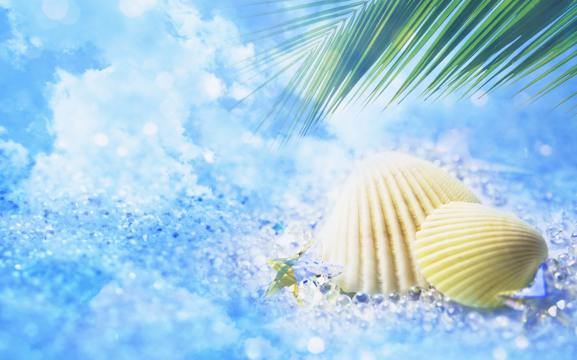 Conchiglie, Foglia di palma, Bokeh, Azzurro, 1920x1200, immagine di sfondo