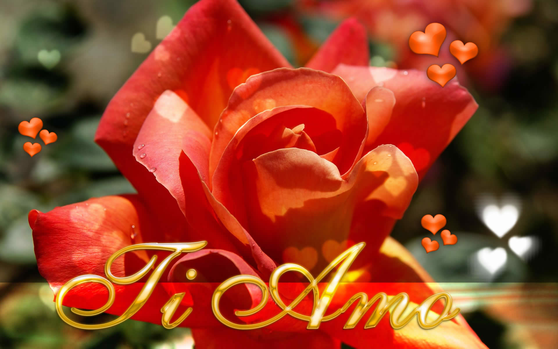 Ti Amo, Rosa rossa, Cuori, Romantico, 1920x1201, sfondo MacBook Pro