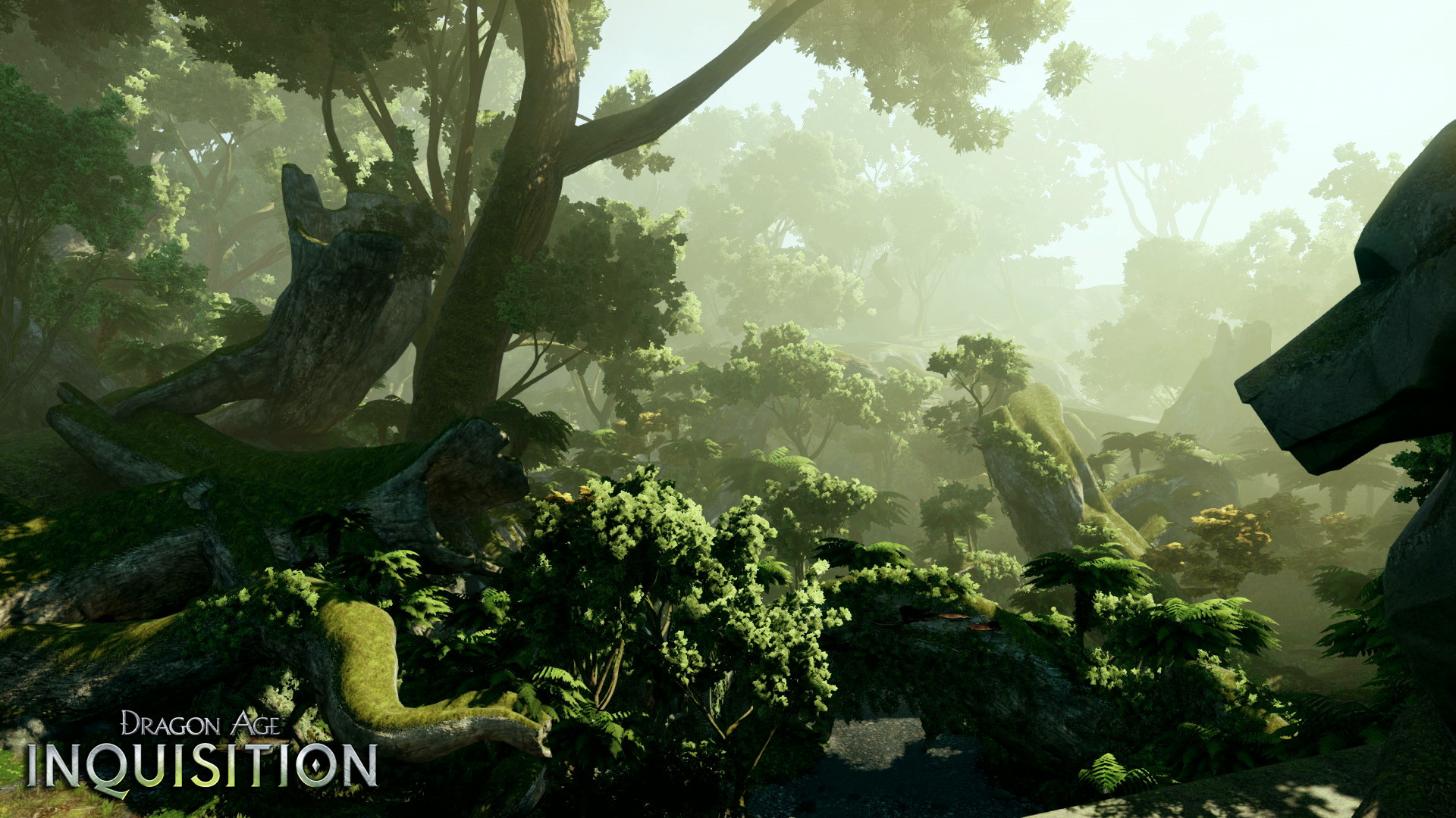 Dragon Age: Inquisition, Foresta, Giungla, Luce soffusa, Full HD, wallpaper desktop