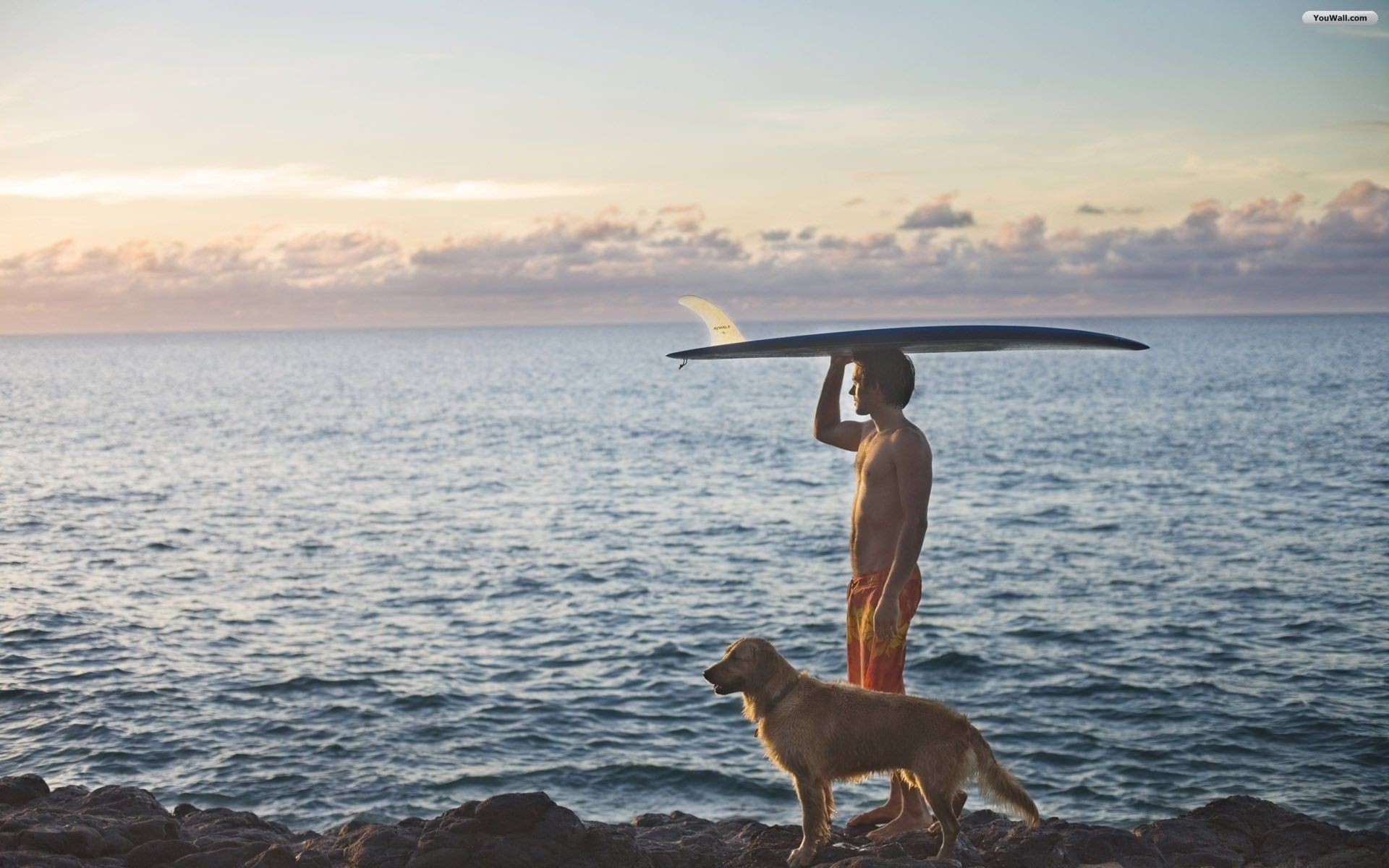 Surfista, Cane, Golden retriever, Tavola da surf, Mare, 16:10 Full HD, sfondo widescreen